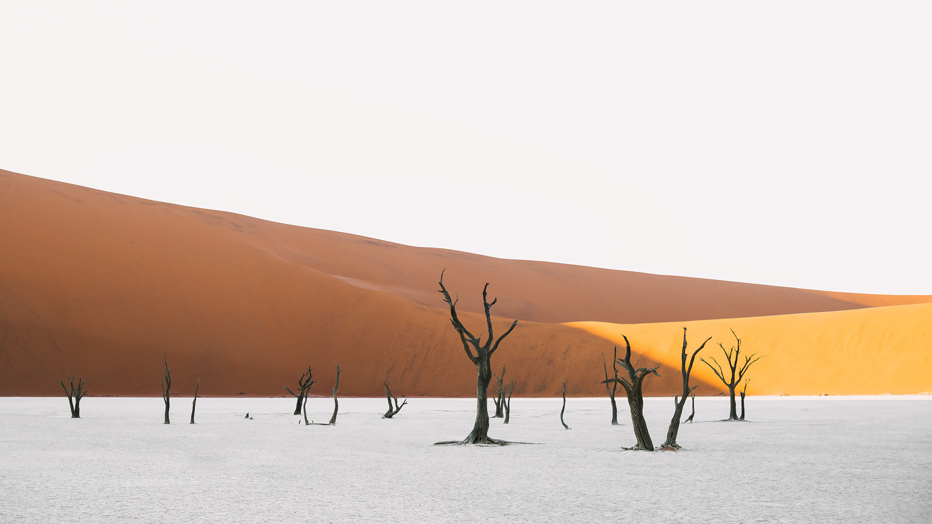 Habitas / Namibia / 2022