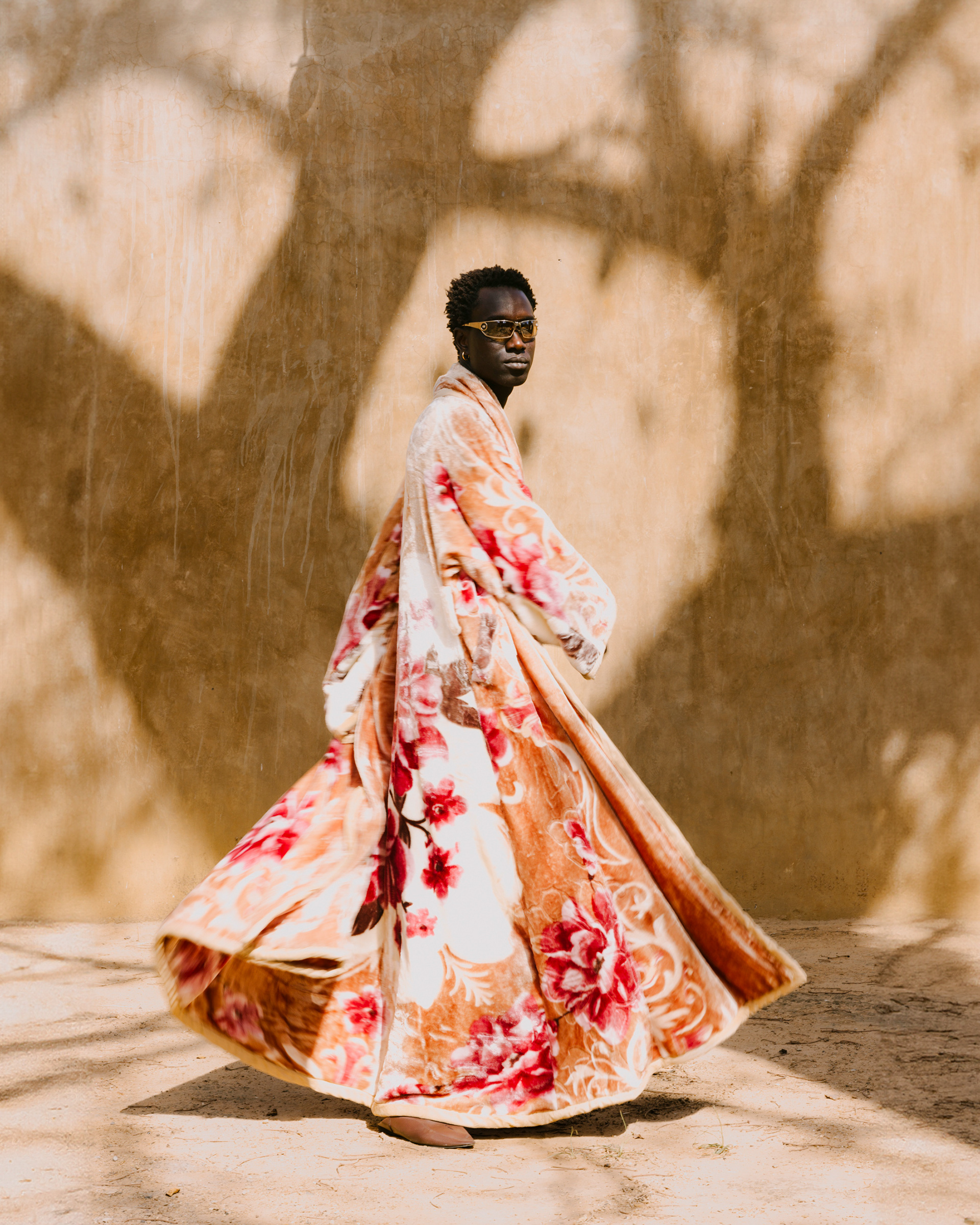 Shadows of a baobab / Senegal / 2025