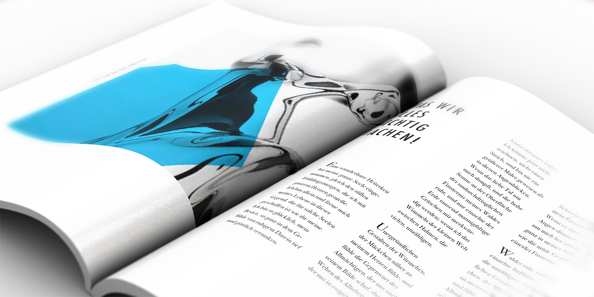TURN: Editorial Design. Magazine about literally two sides of animal testing