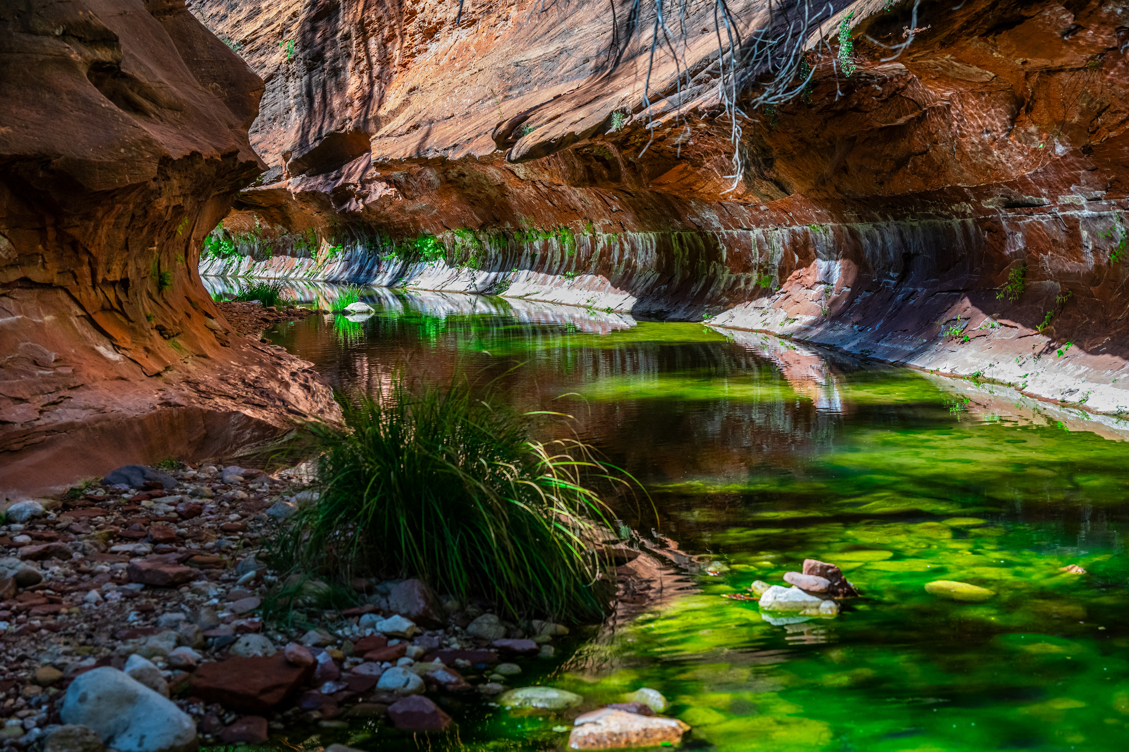 West Fork Trail