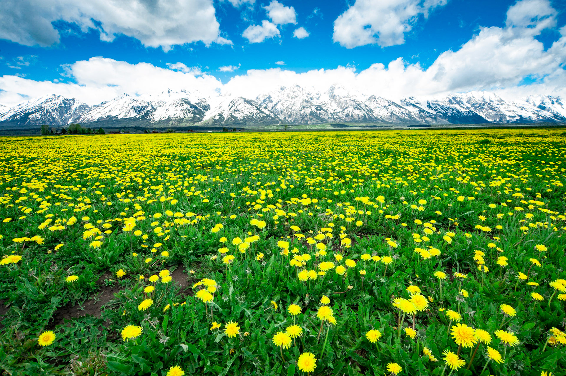 Grand Tetons