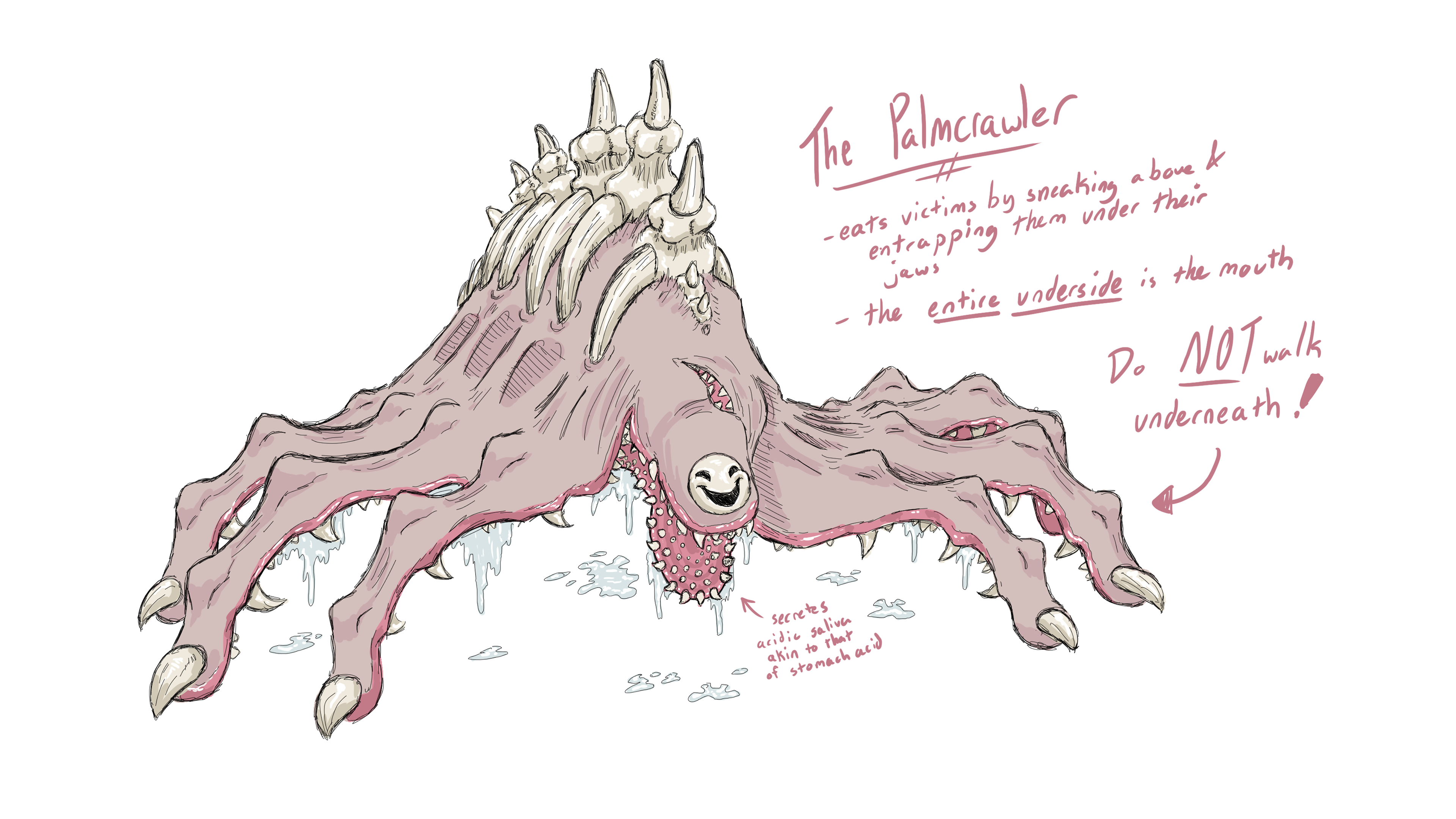 The Palmcrawler - 10/2021
