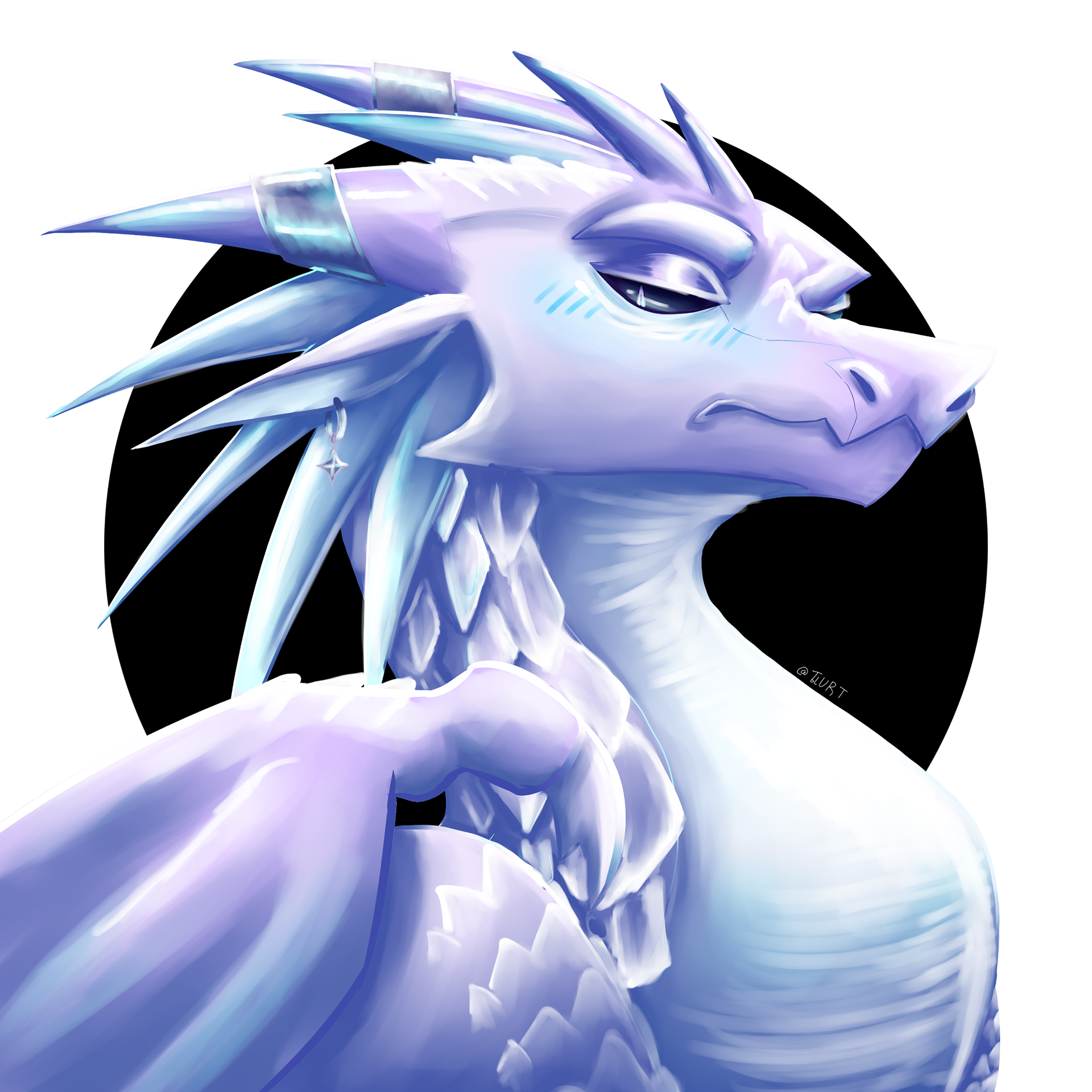 Snooty Snoot - 07/2022