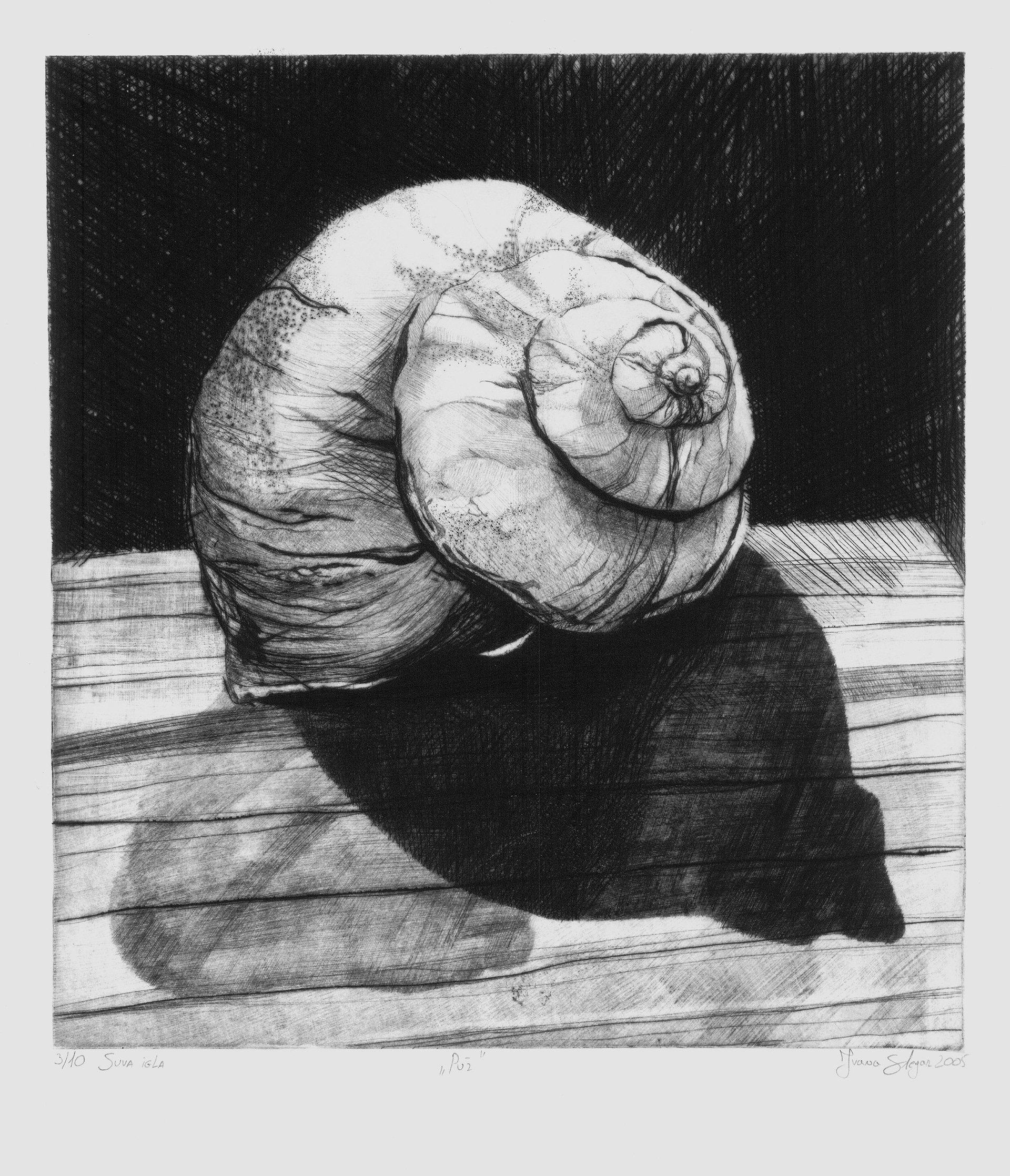 Snail