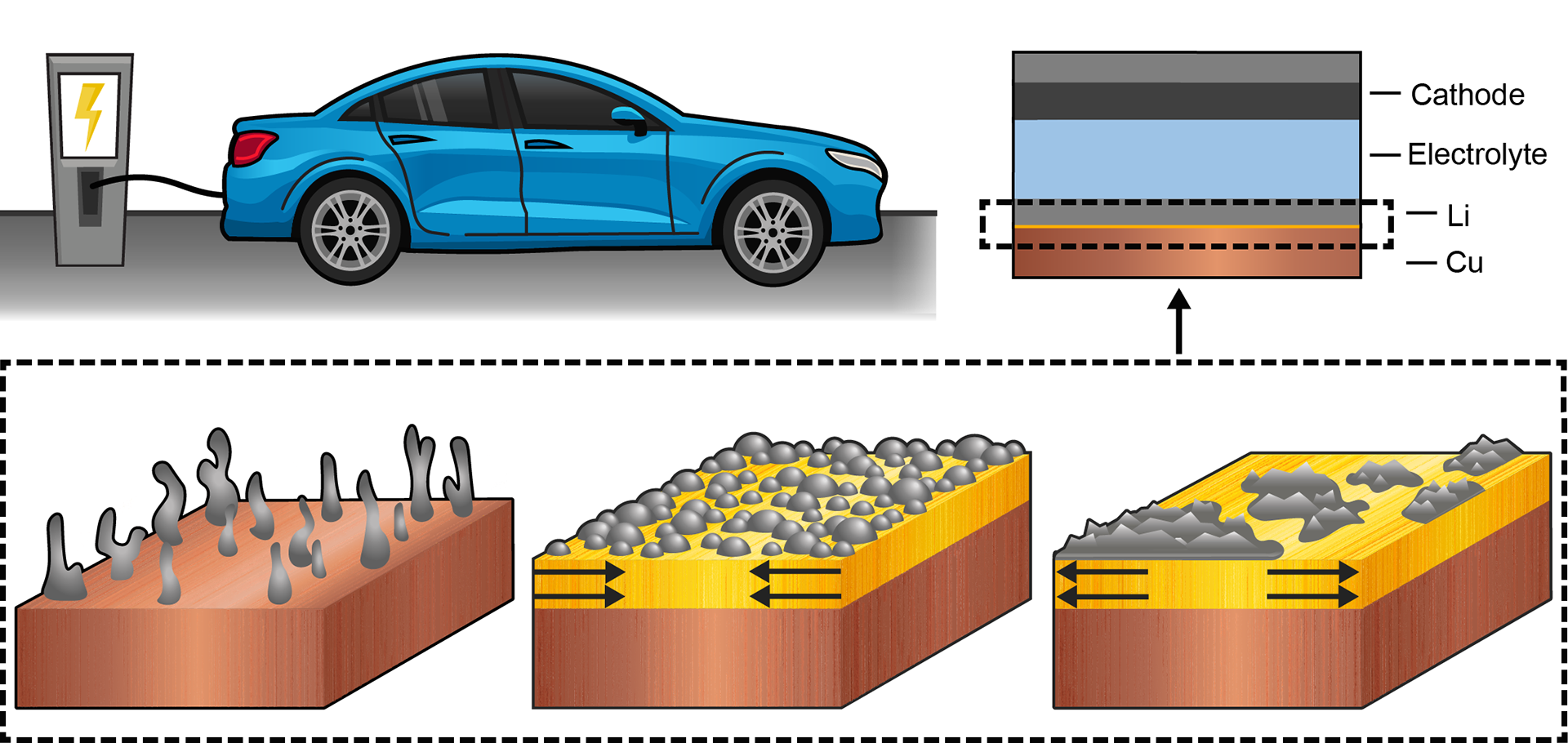 A scientific illustration created for visualizing within a paper. Created by Danielle Horlacher