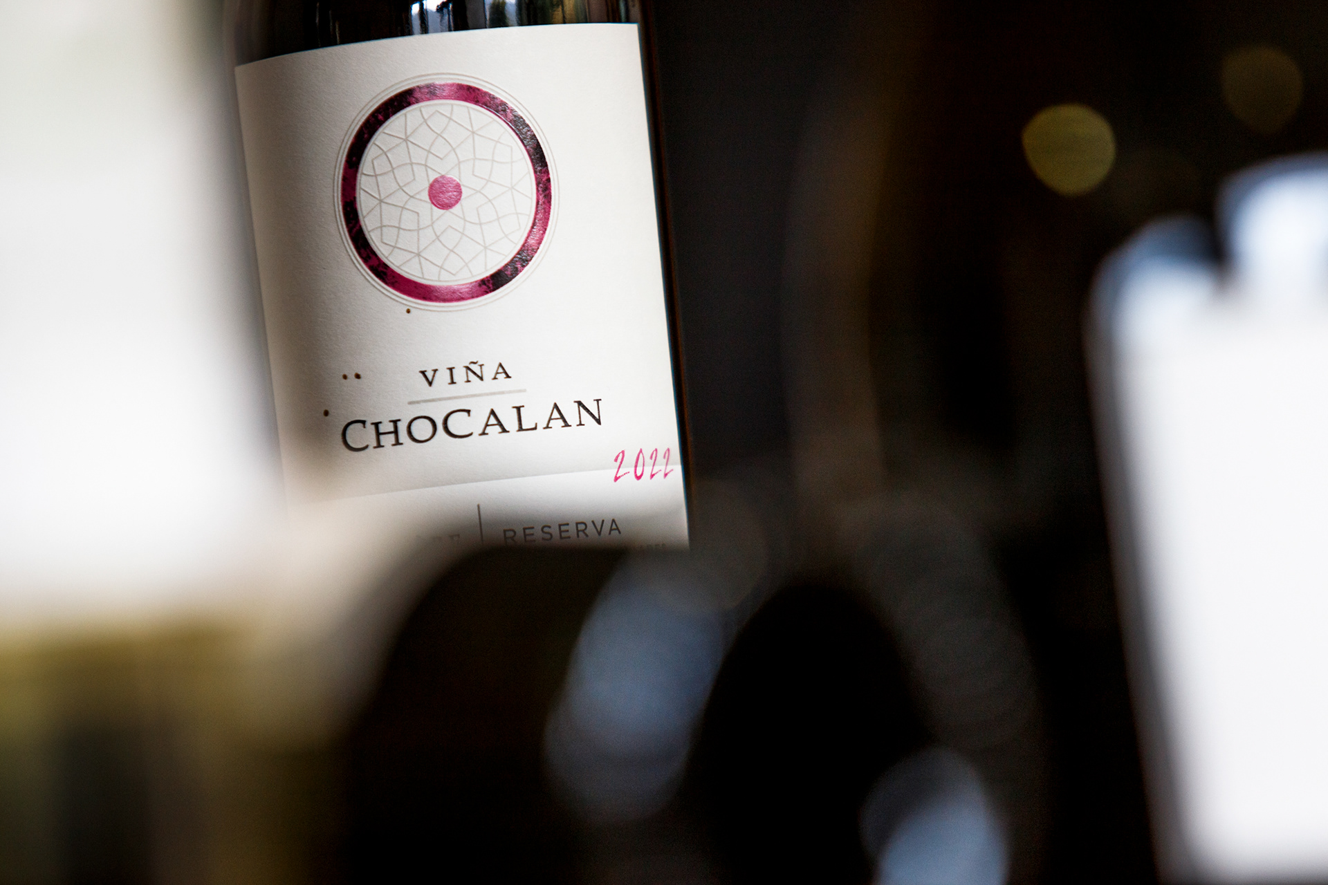 15 de mayo 2024 / Viña Chocalán.