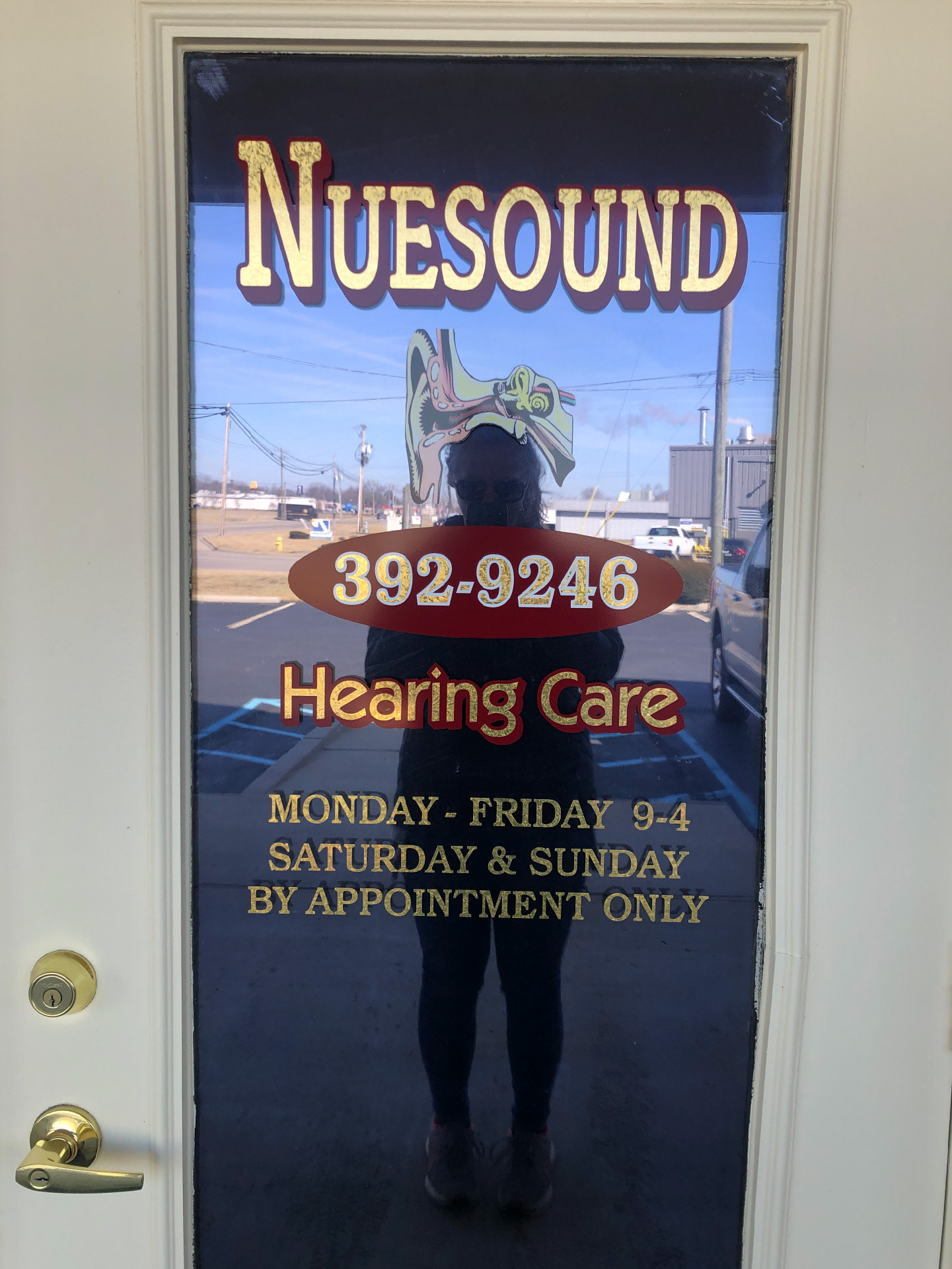 Nuesound Door Window, 2022