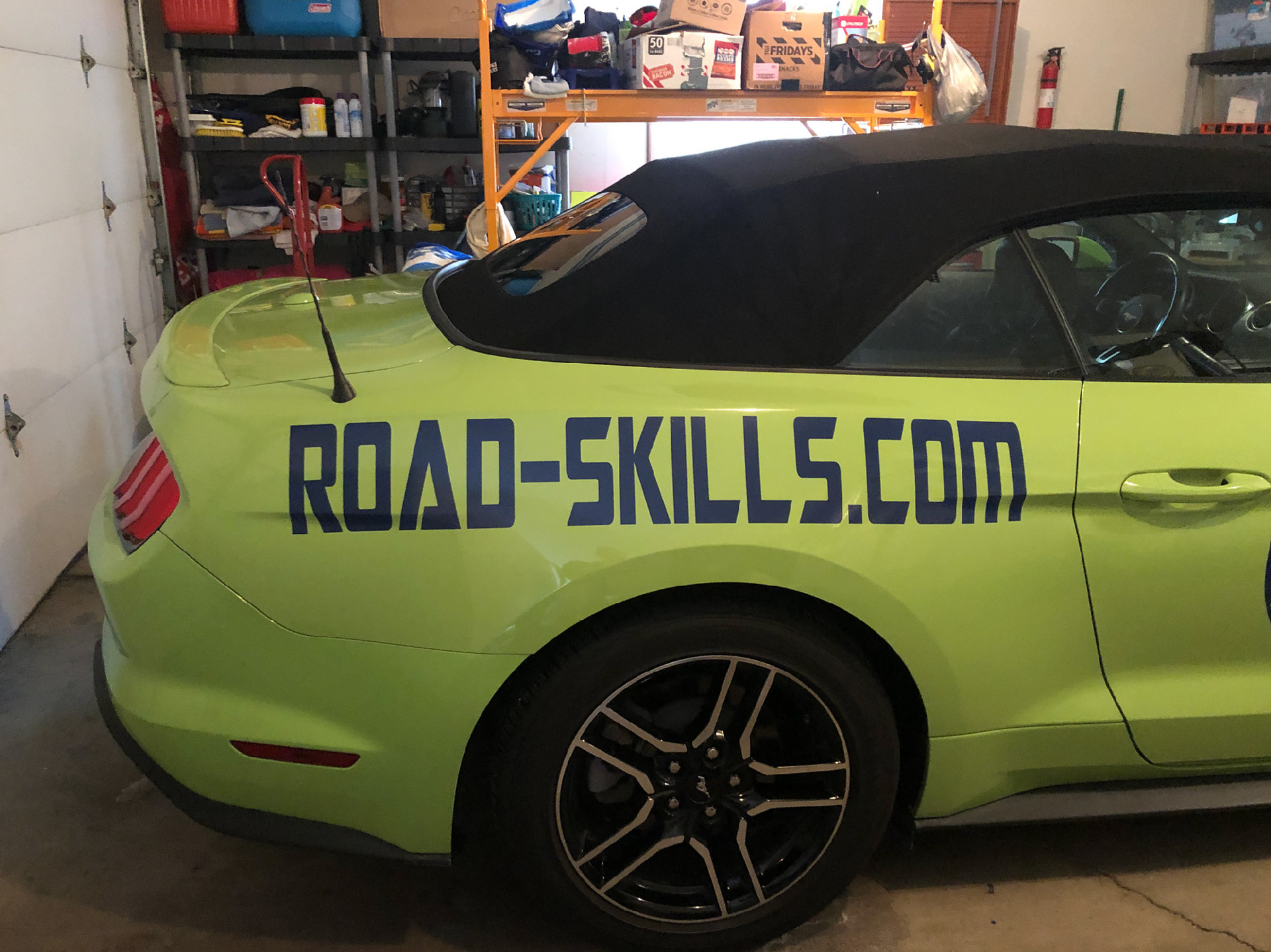 Road Skills (Back Passenger), 2021