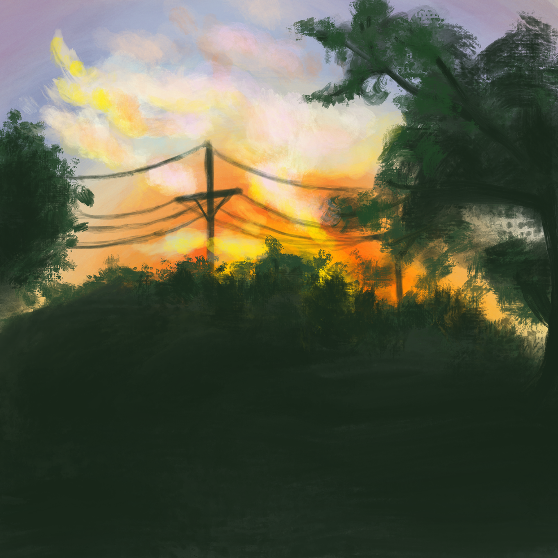 Sunset in the Summer