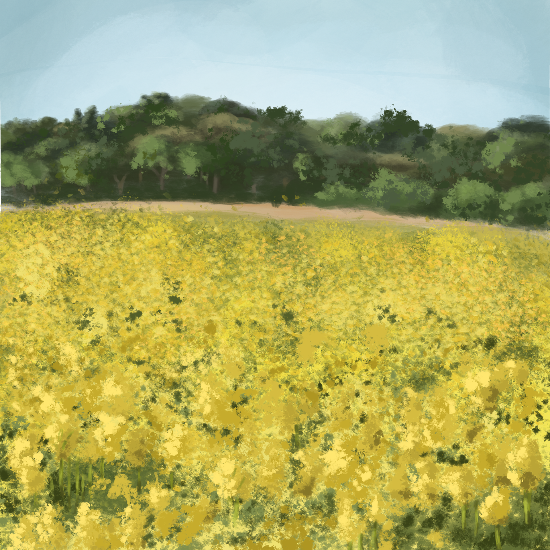 Field of Yellow