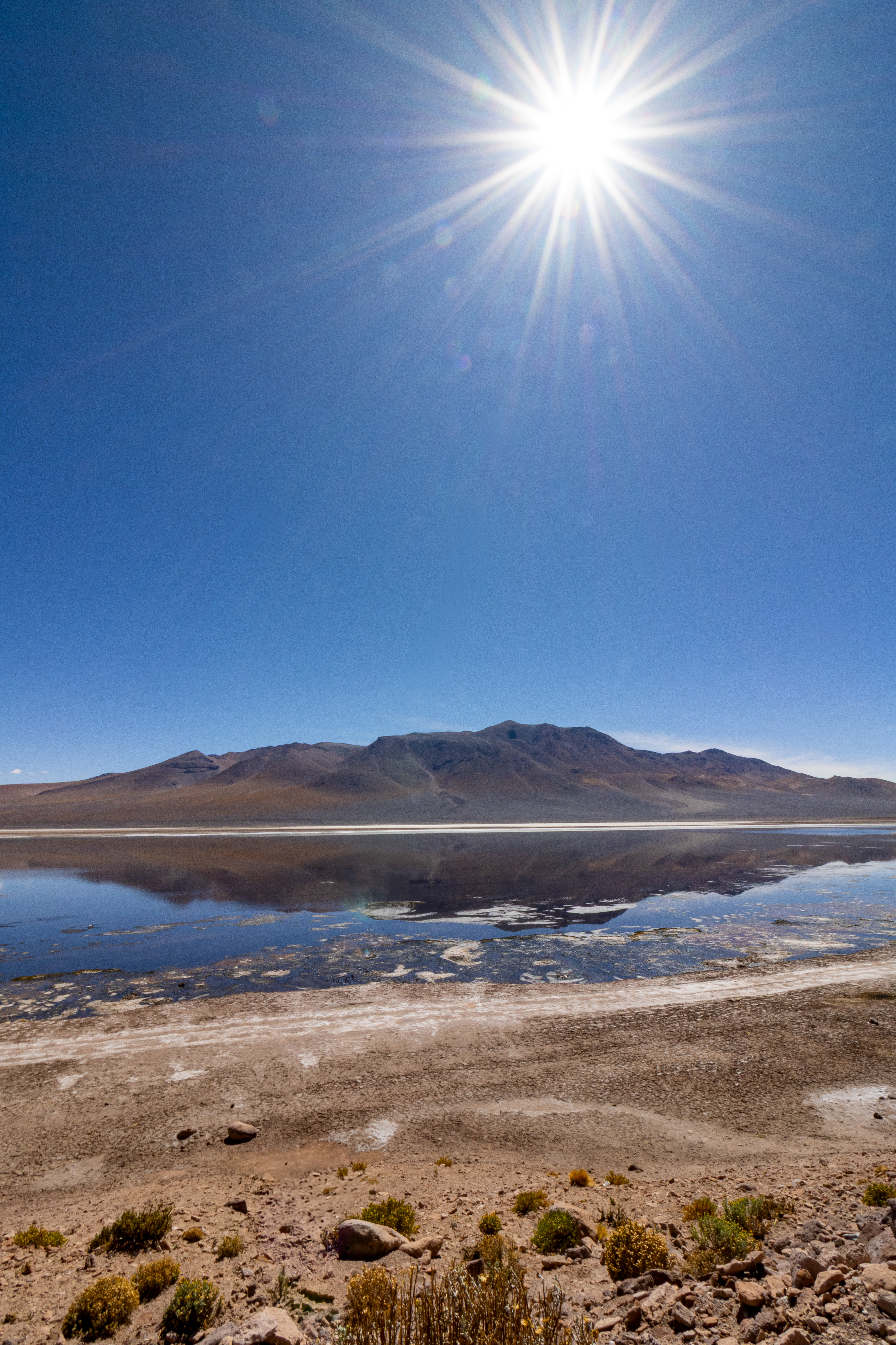 Salar de Tara, Atacama, Chile