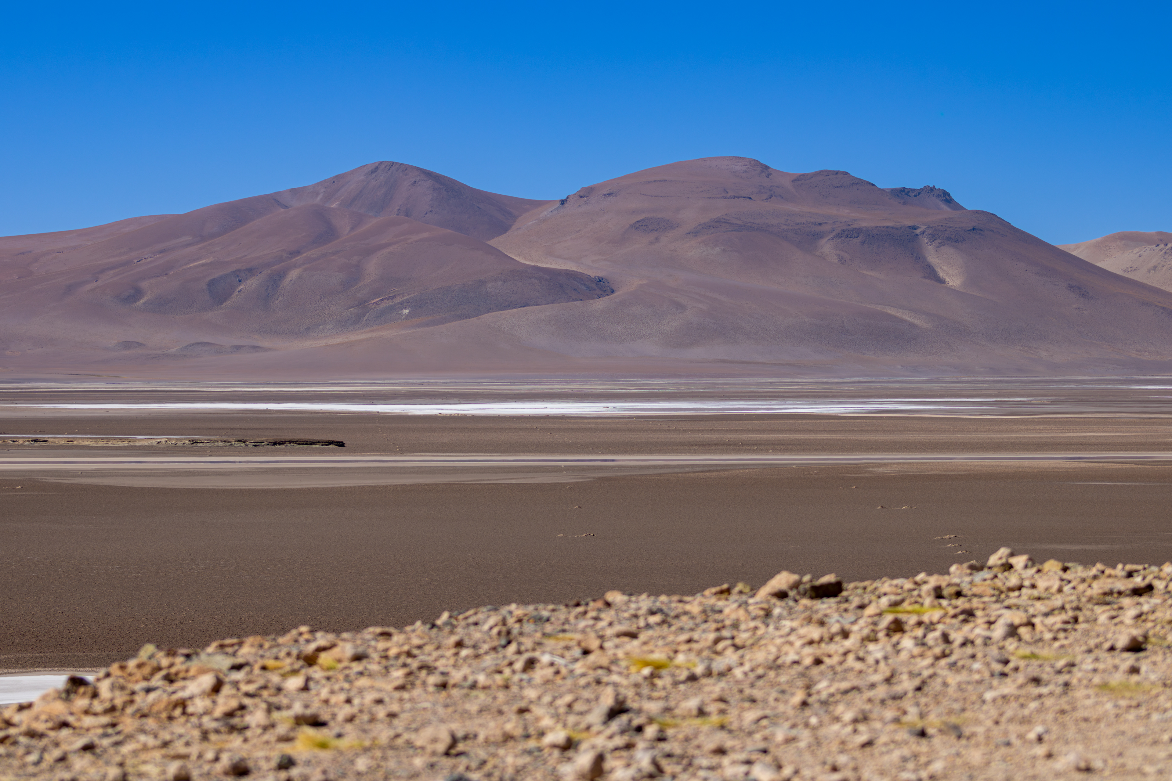 Salar de Quisquiro, Atacama, Chile