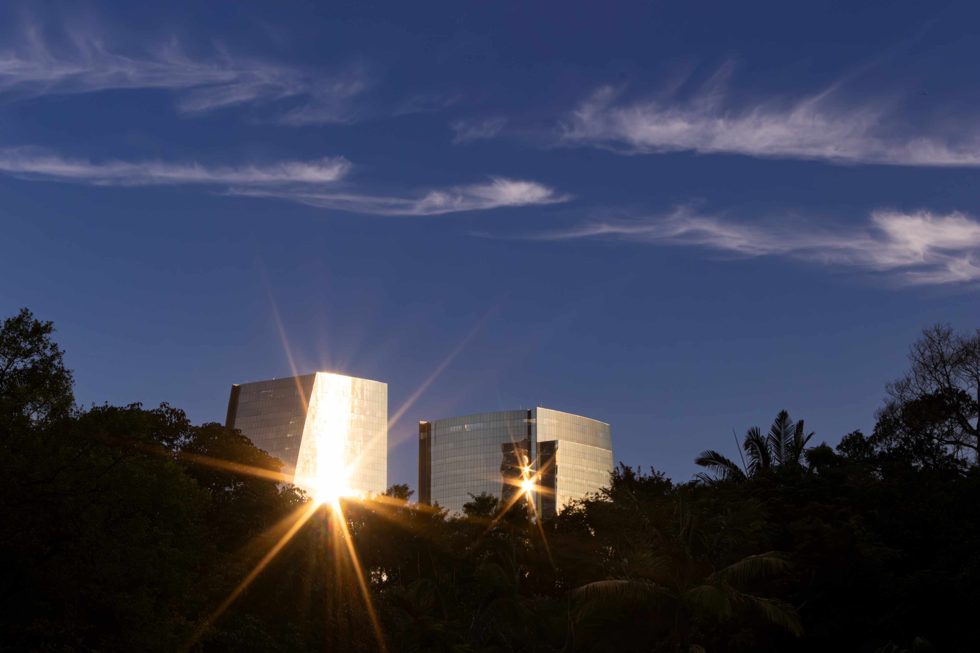Parque Burle Marx, São Paulo