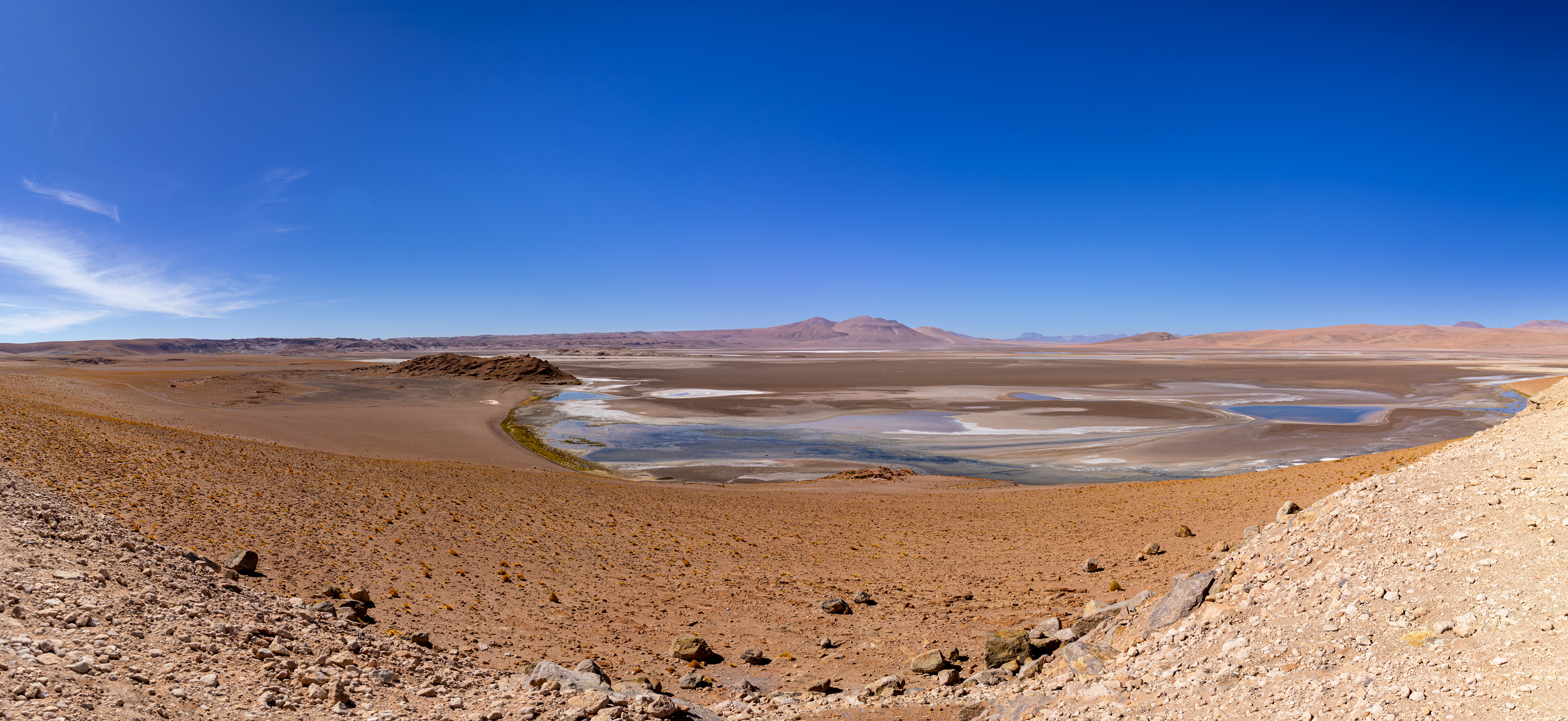 Salar de Quisquiro, Atacama, Chile