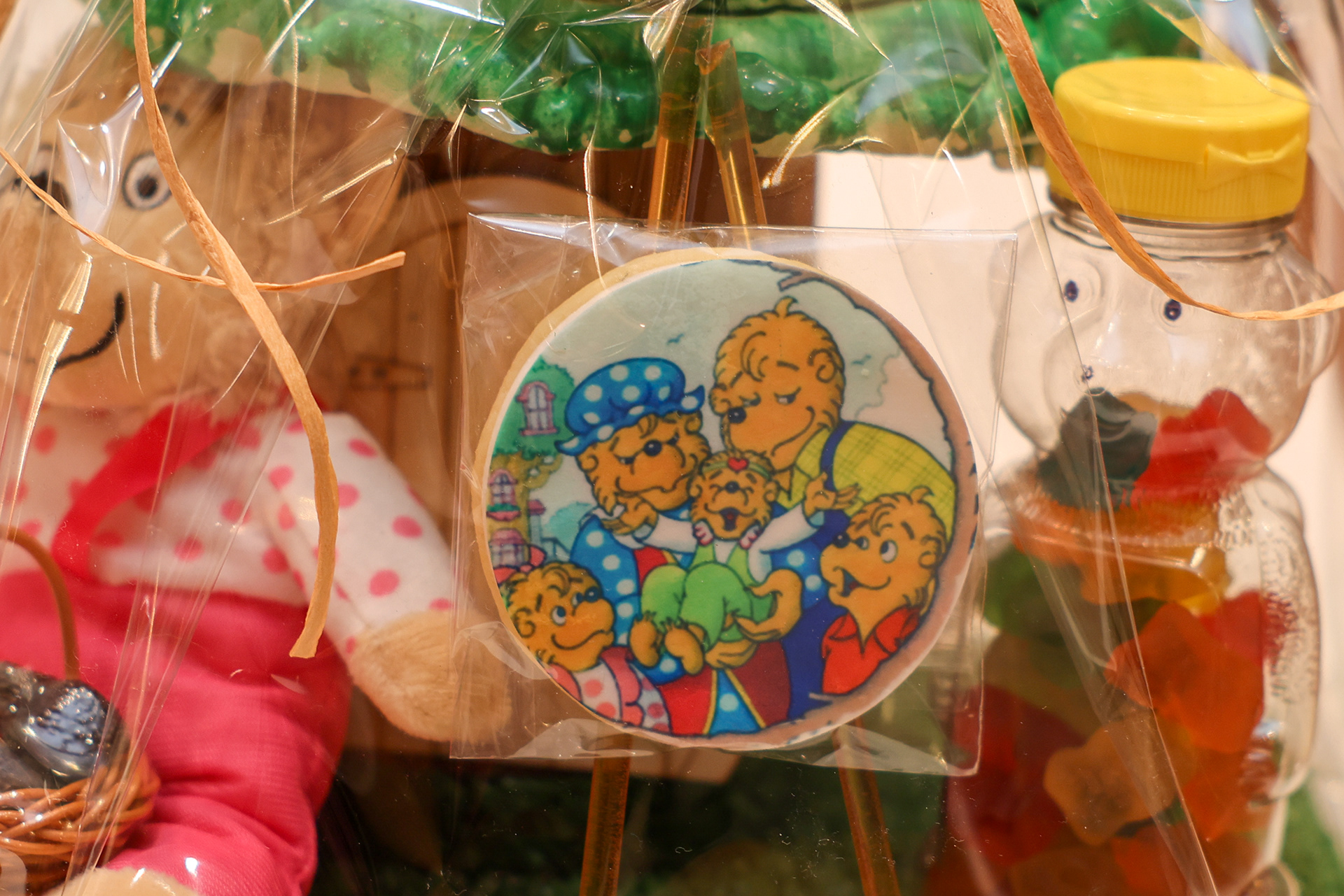 The Berenstain Bears purim