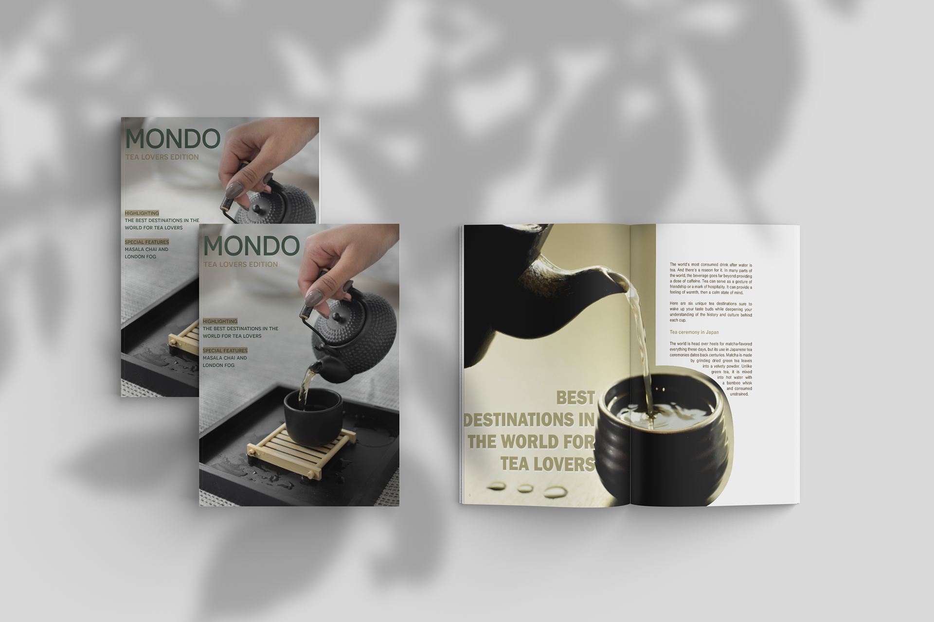 Cover and Opening Spread for First Article