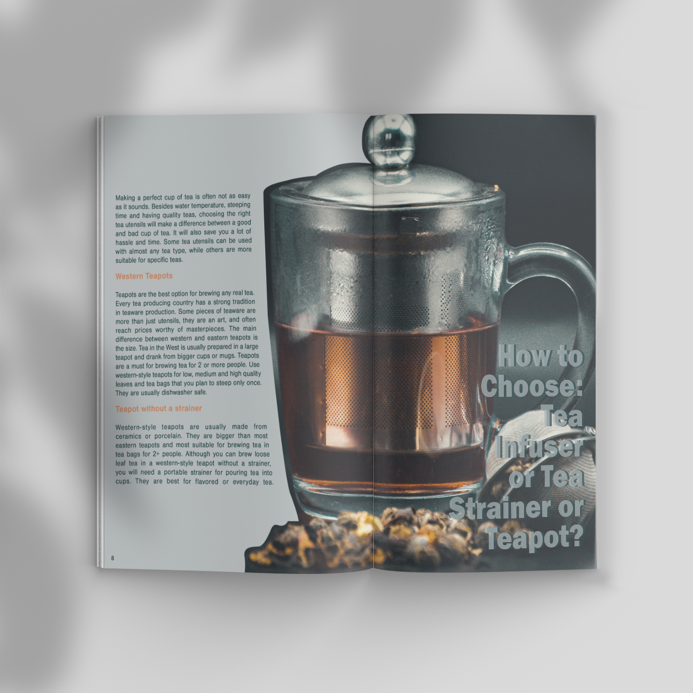Opening Spread for Second Article
