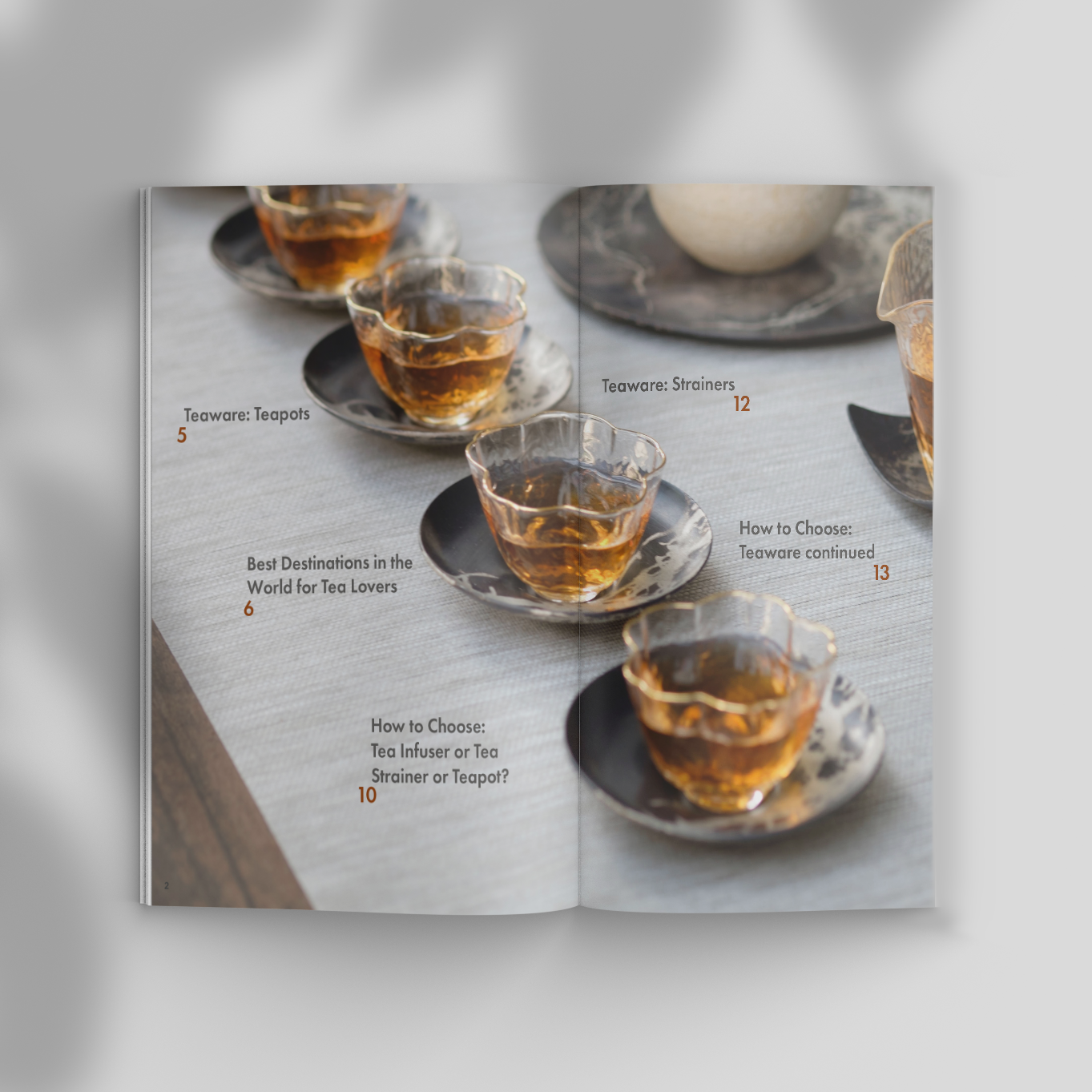 Table of Contents Spread