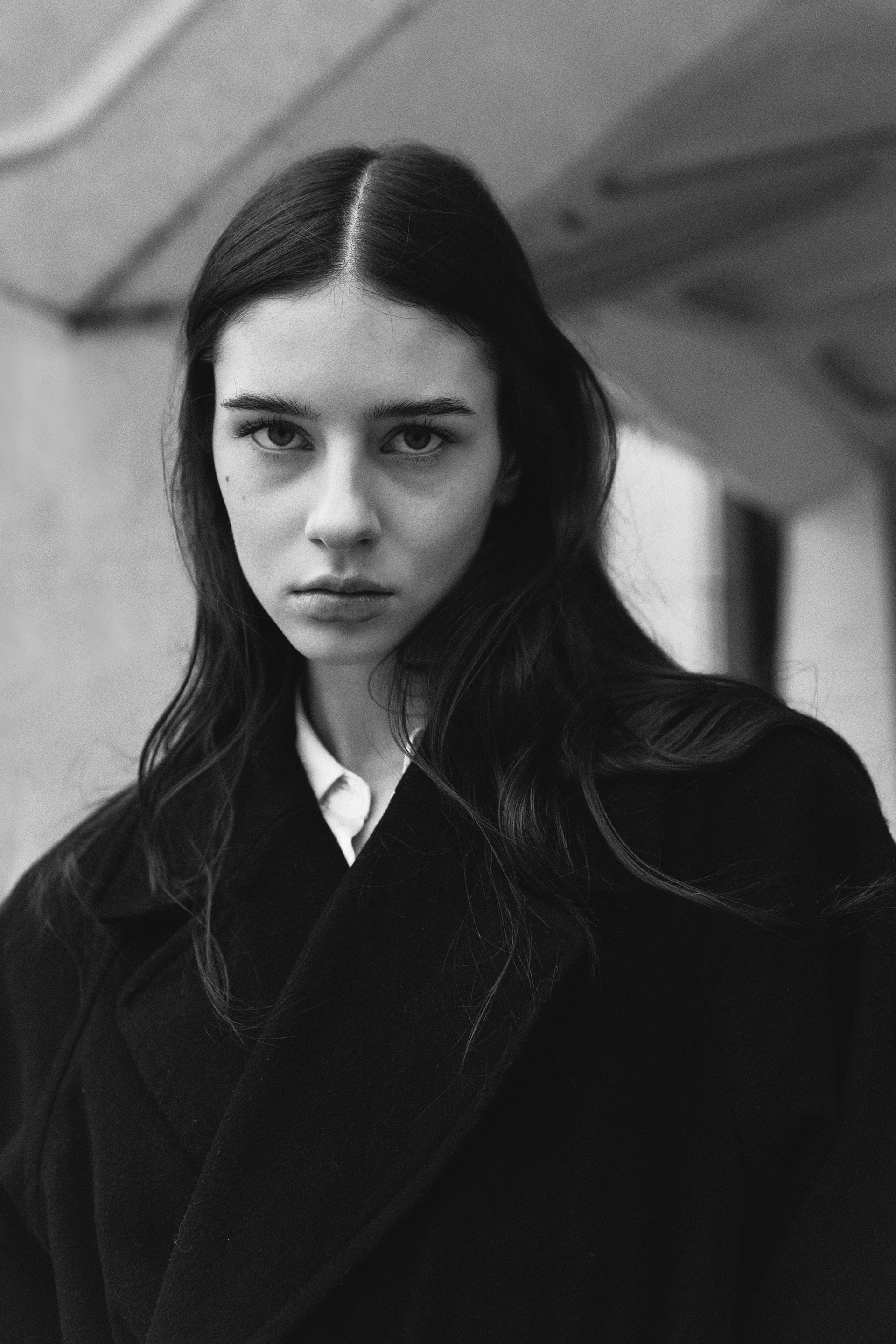 Fanni for M+P Models