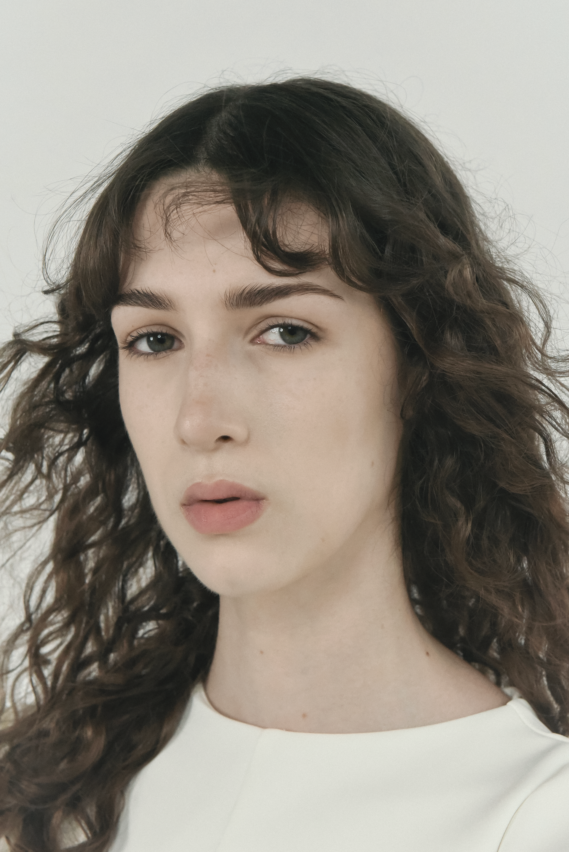 Alice for Nevs Models 