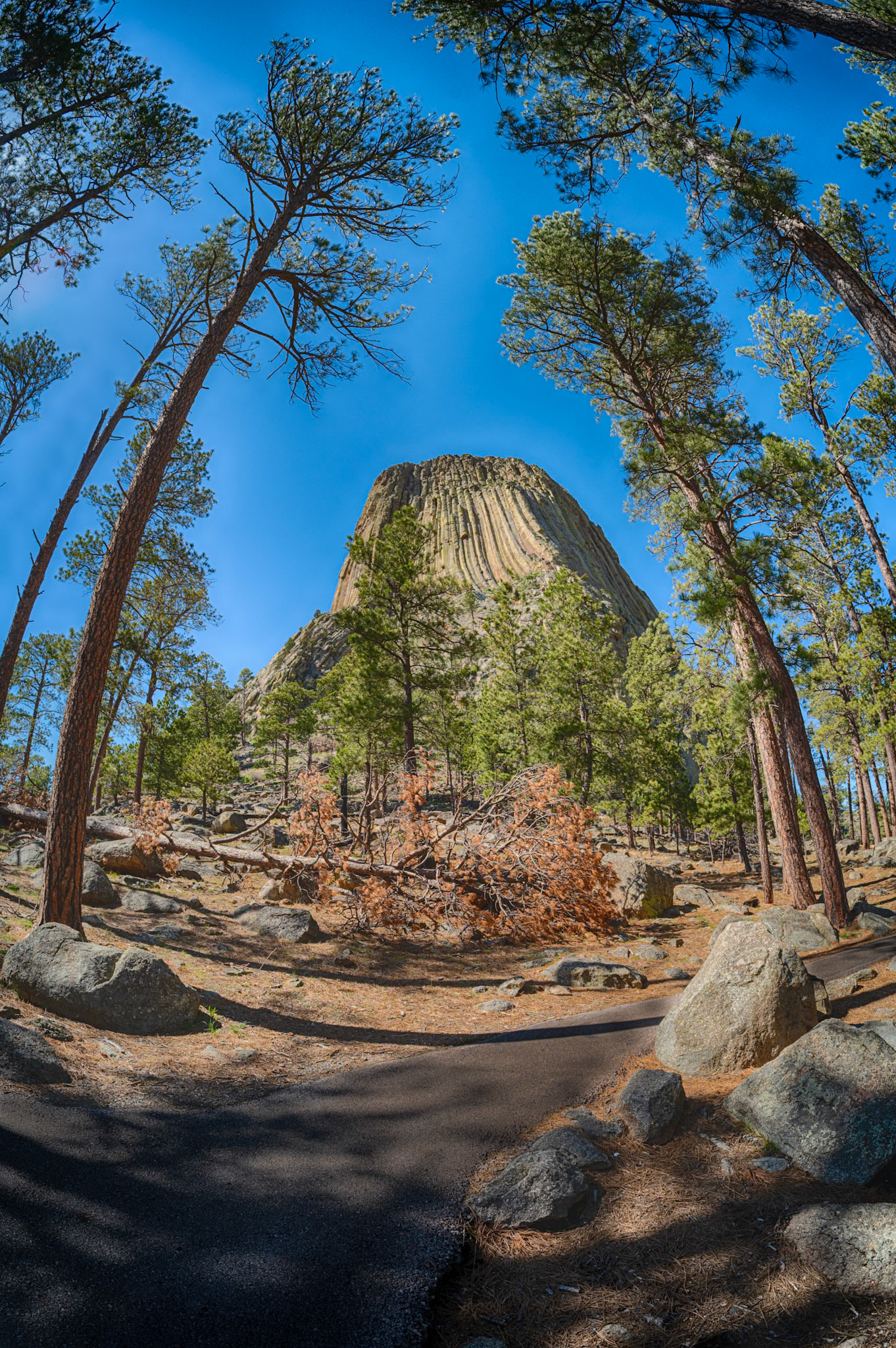 Devil's Tower National Monument