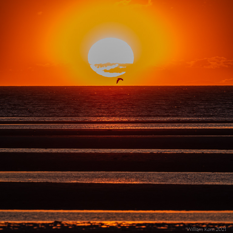 Rock Harbor, Cape Cod.