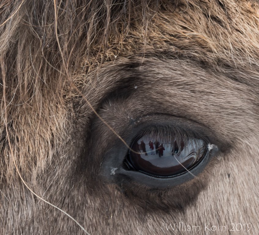 Look photographers in the eye.