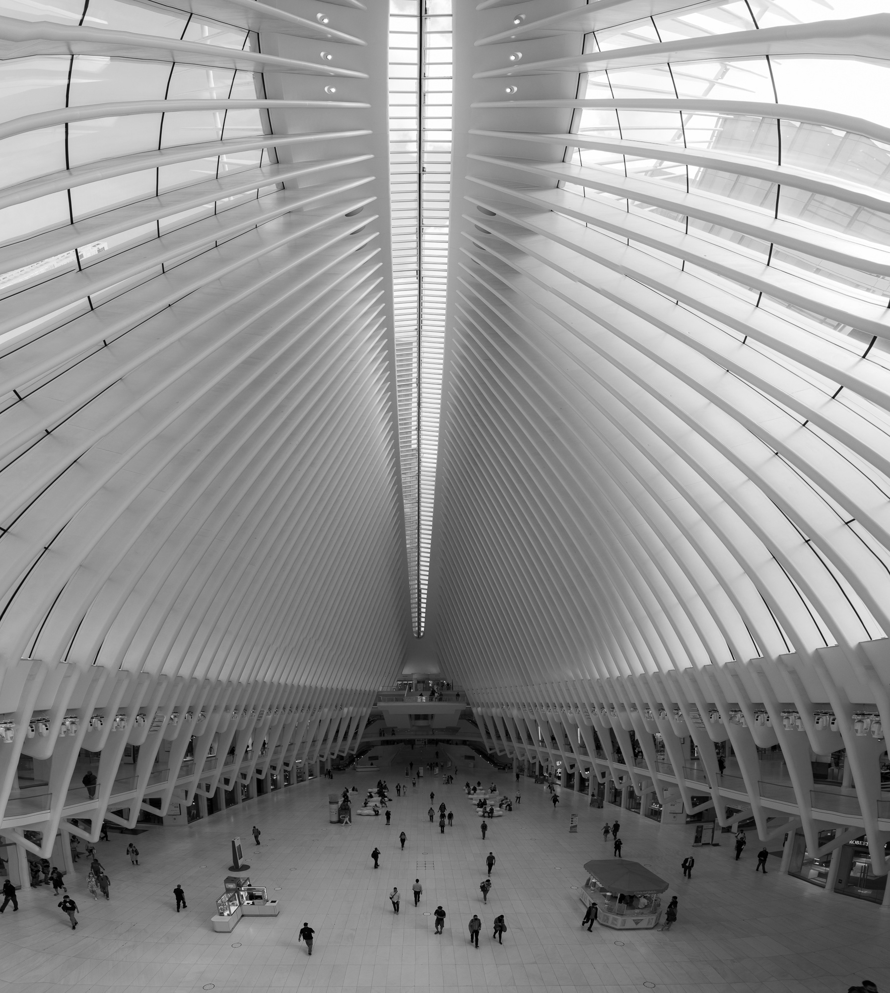 The Oculus