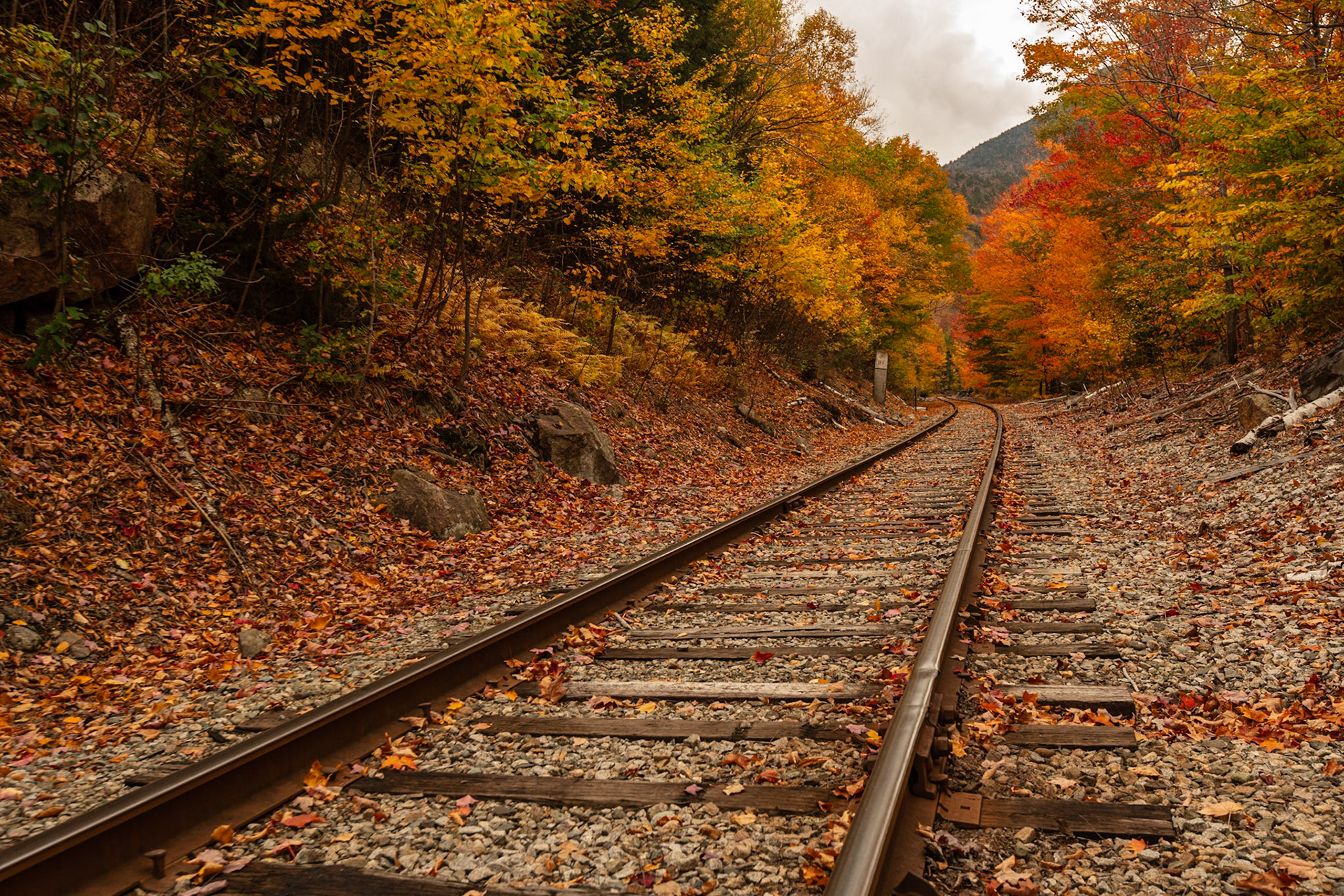 Crawford Notch