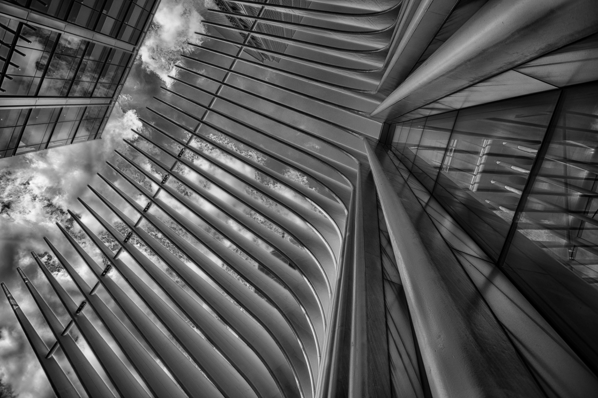 The Oculus