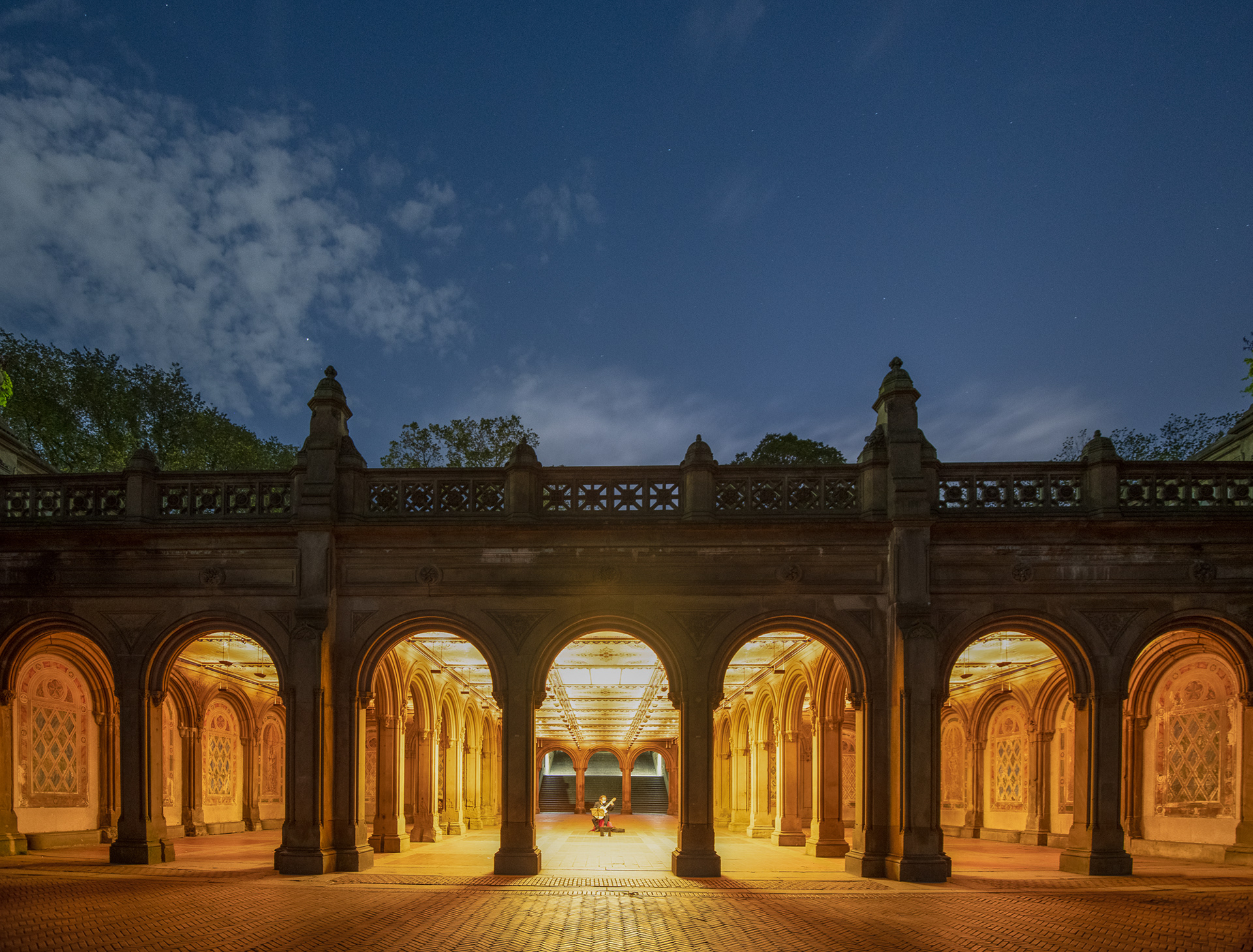 Musician at Bethesda Terrace