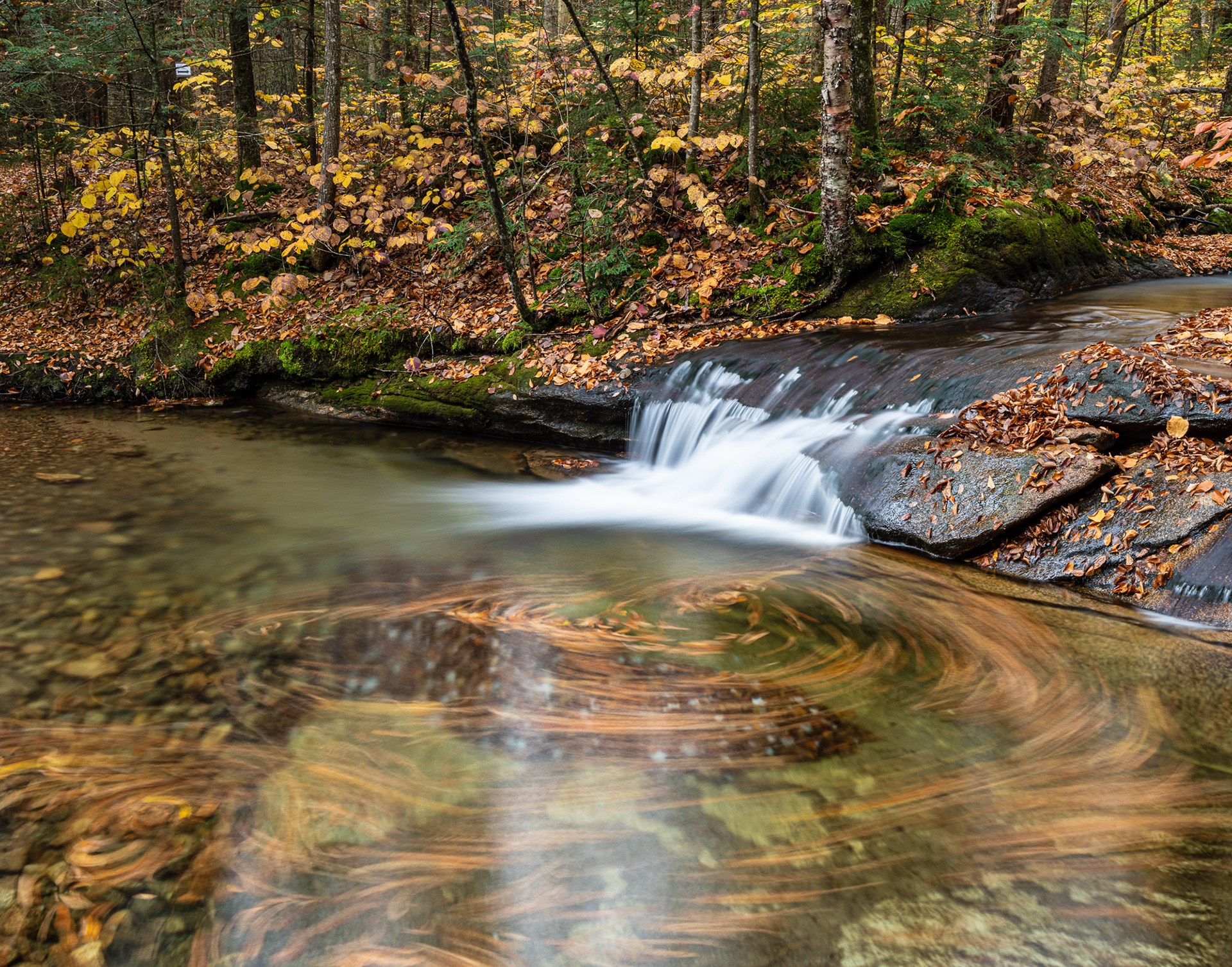 Near the Basin