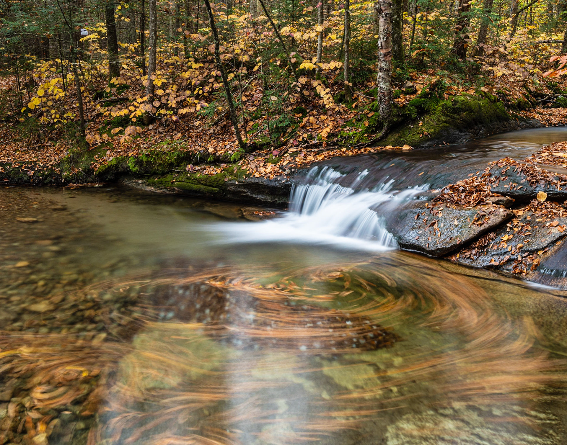 The Basin