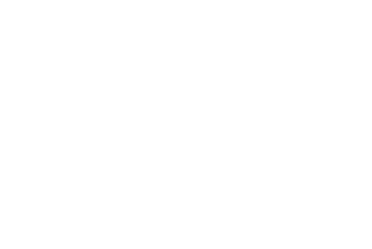 The Circle 2