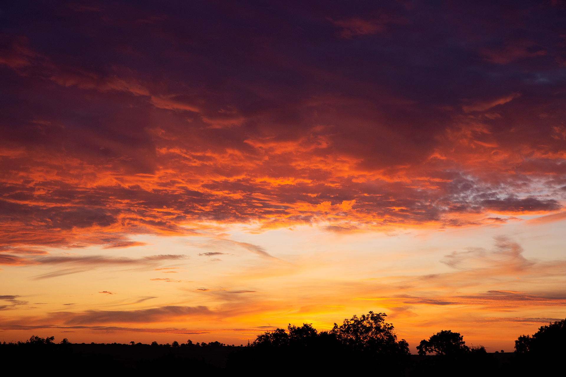 Devon skies on fire