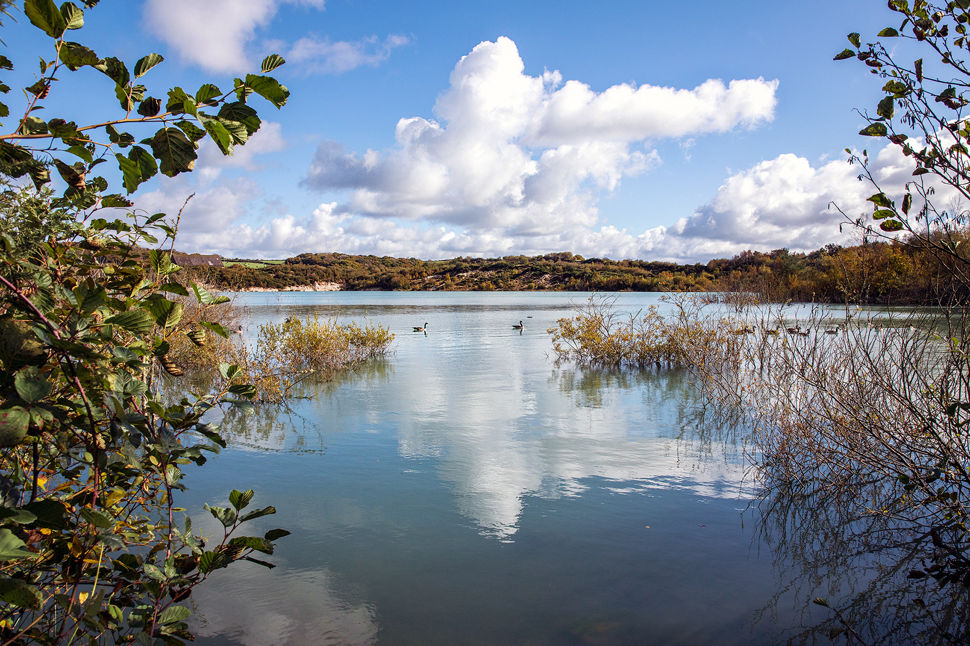 Meeth Country Park, Devon