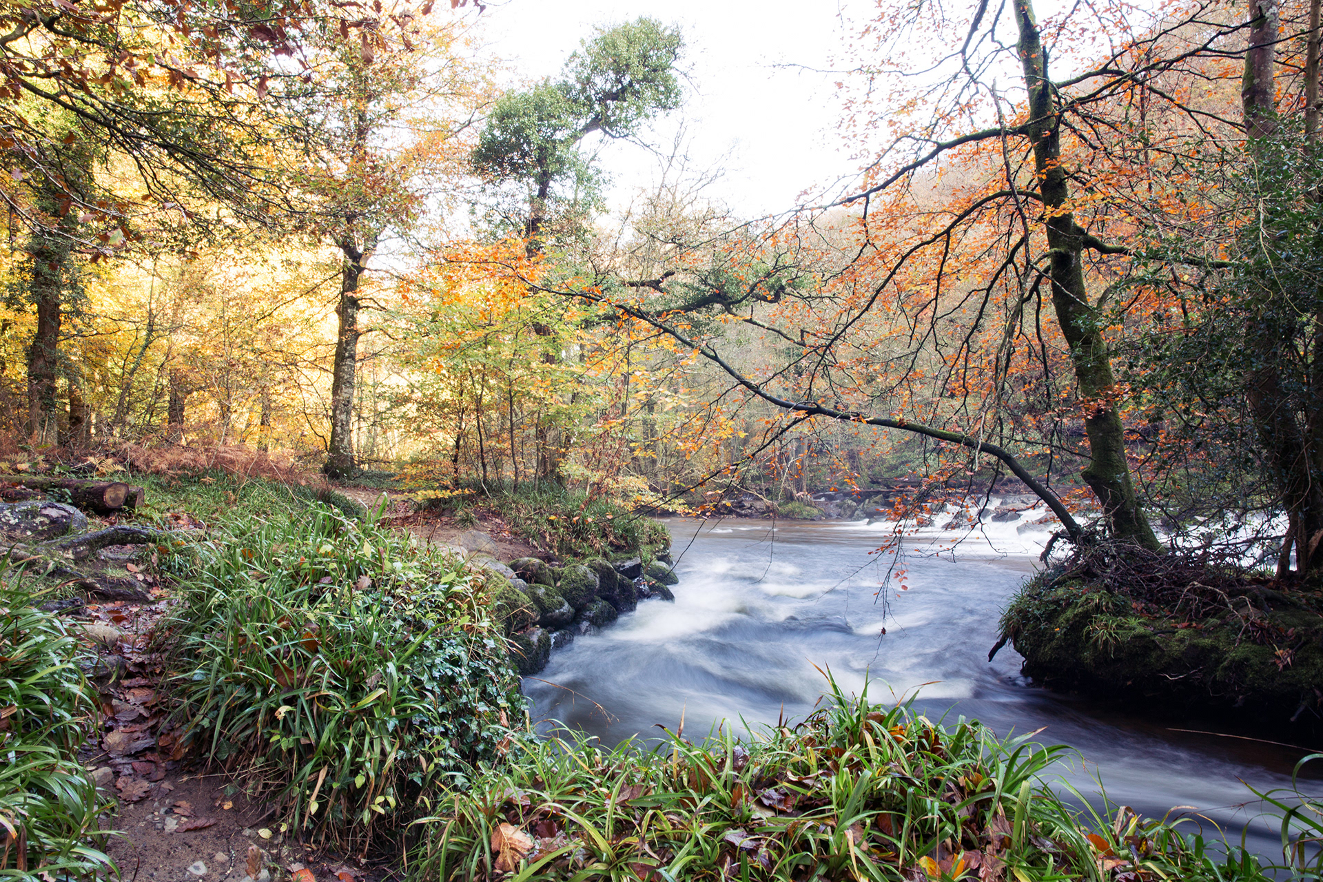 Autumn at Fingle Bridge