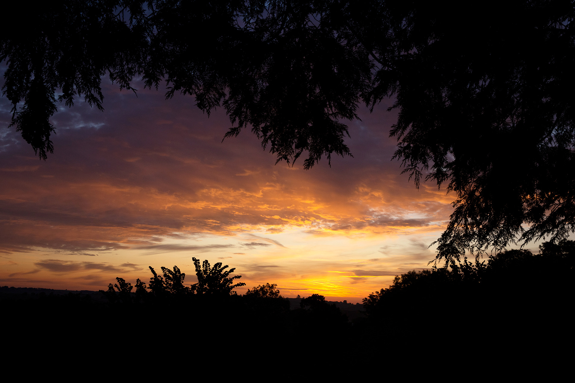 Early morning sunrise, Devon