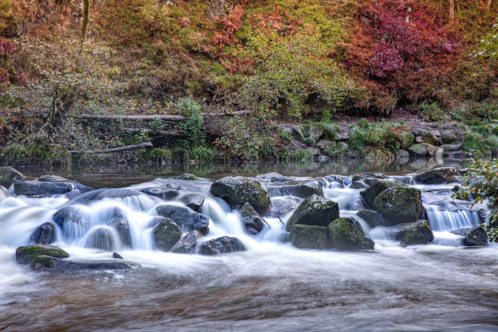 Fingle Bridge