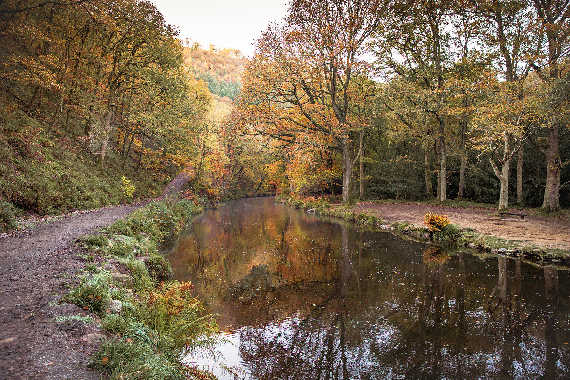 Fingle Bridge, Dartmoor