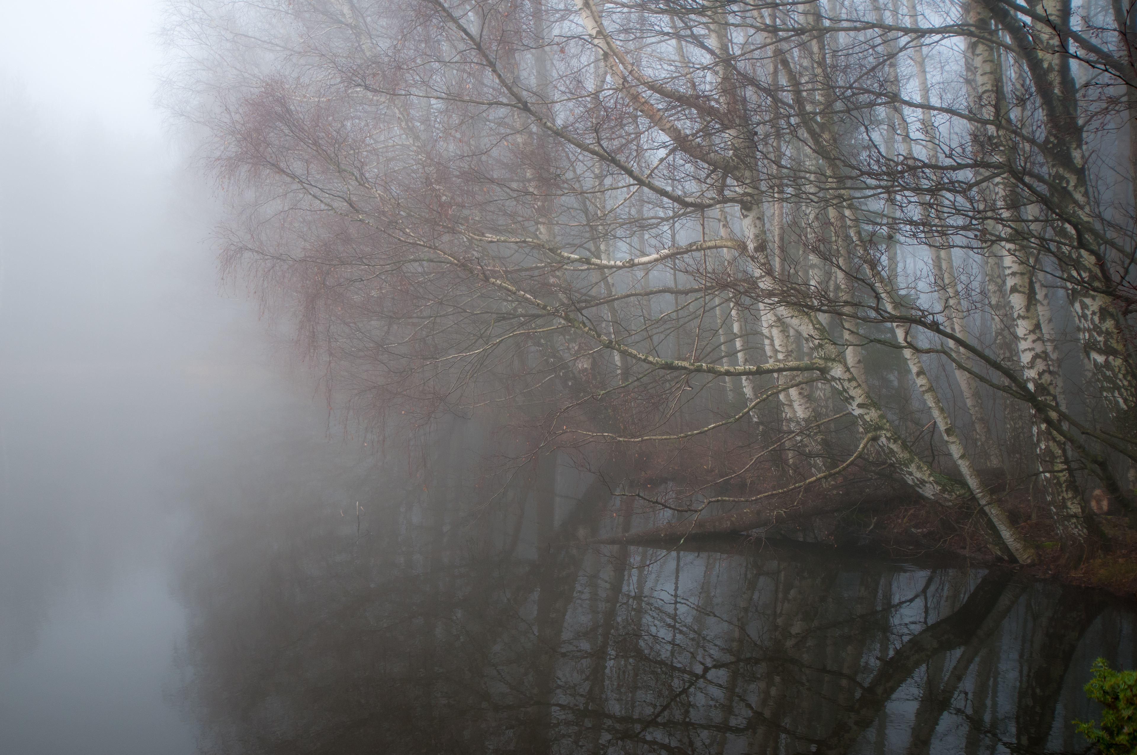 Fog on lake
