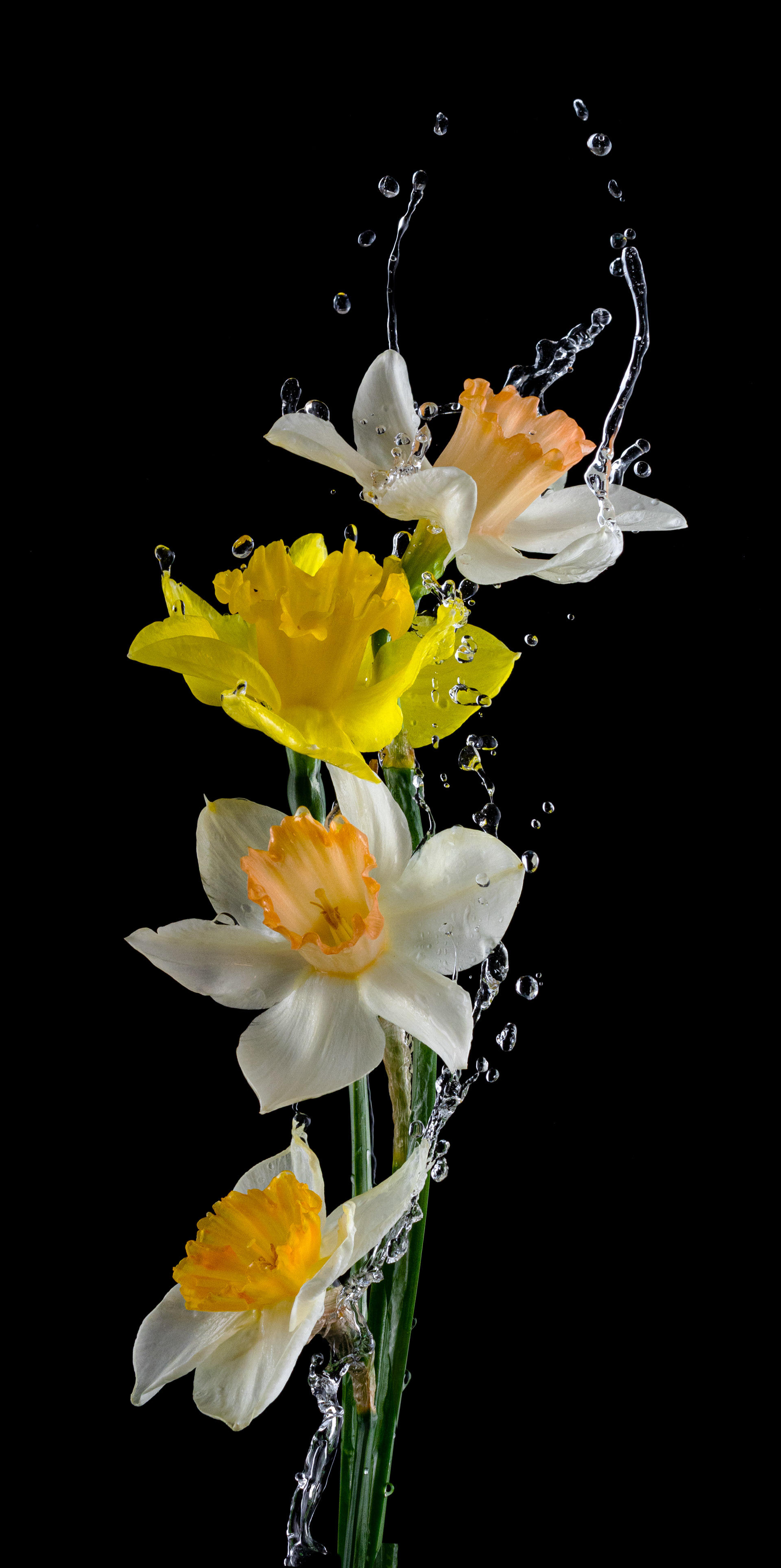 Yeah, splashes delight me, too.