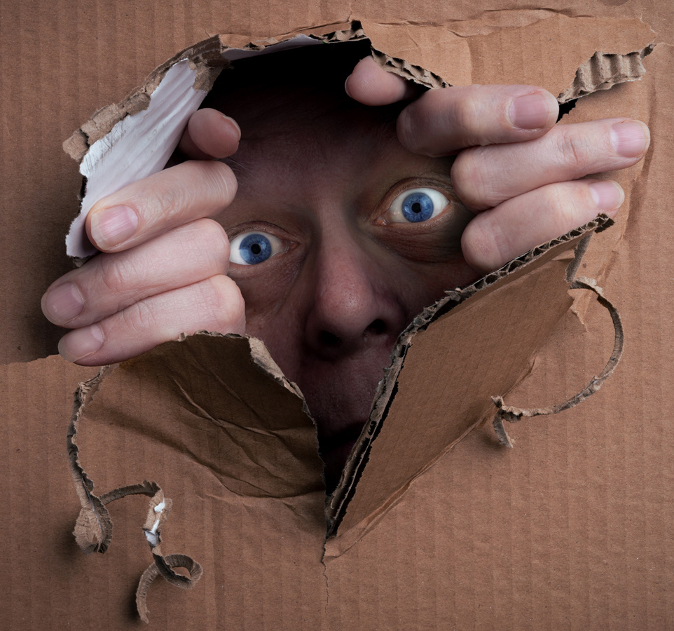 Looking out of a cardboard box