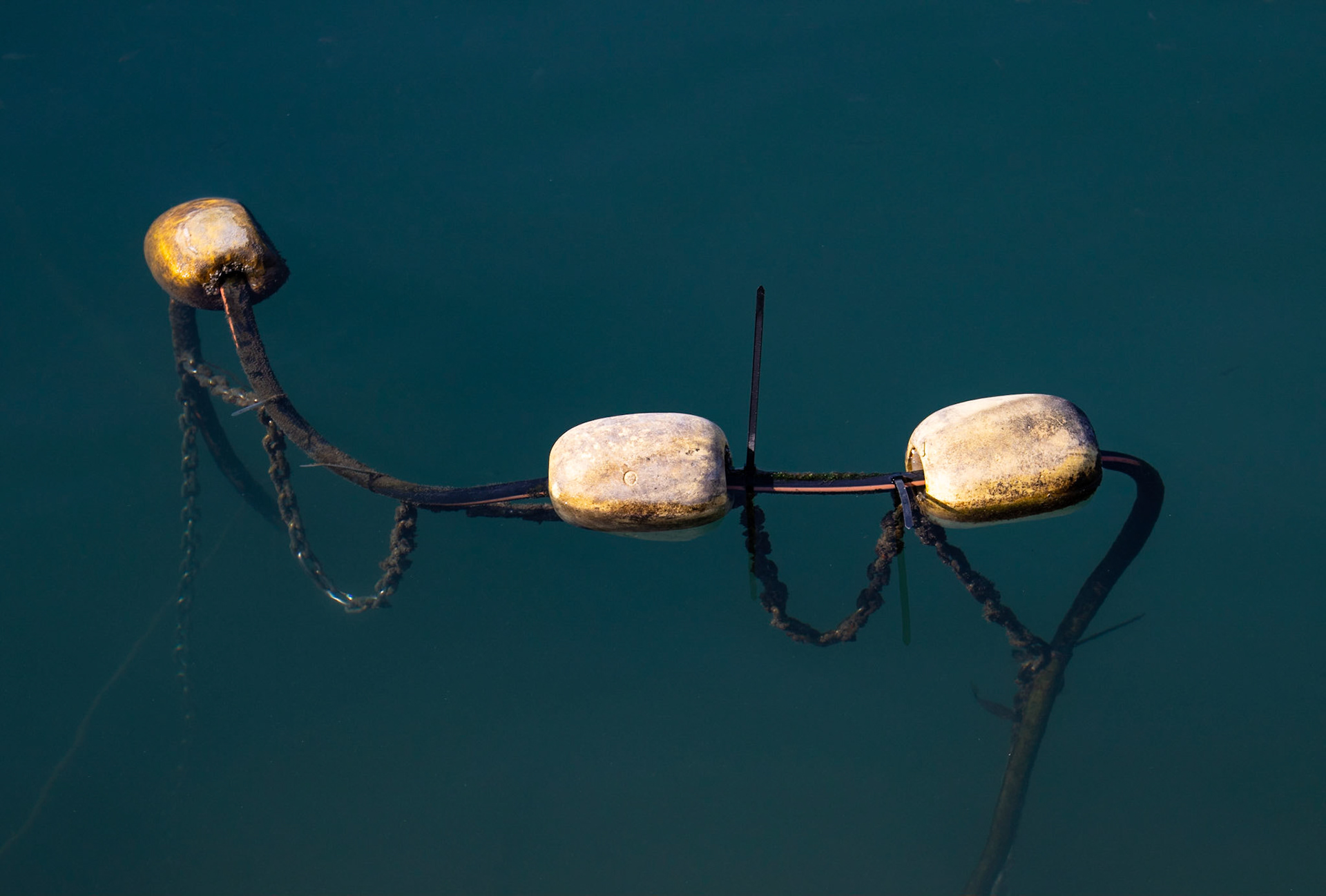 Discarded fishing buoys floating in a harbour joined by rope with chains hanging underneath