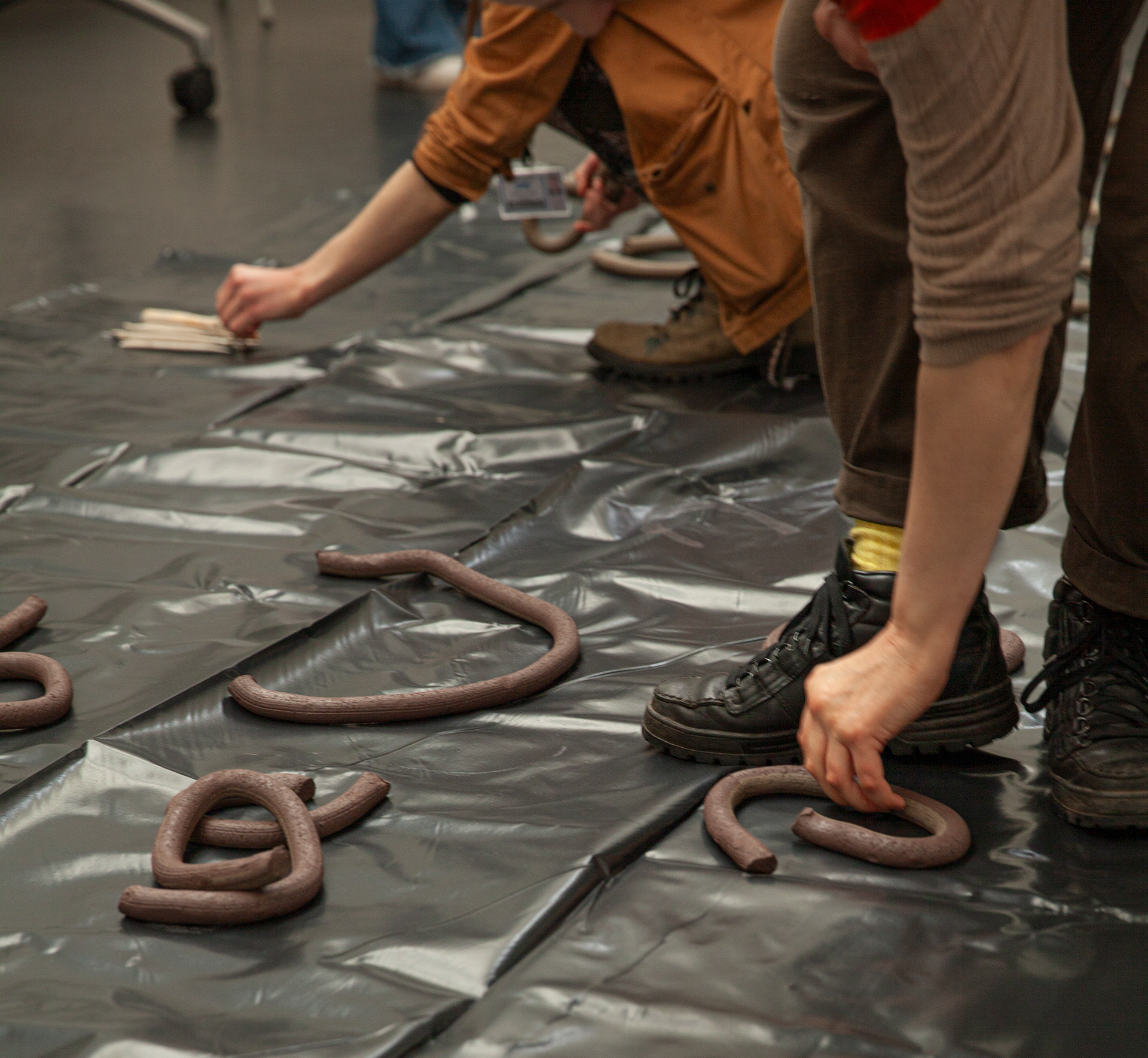 Image Credit: Carla Collinson