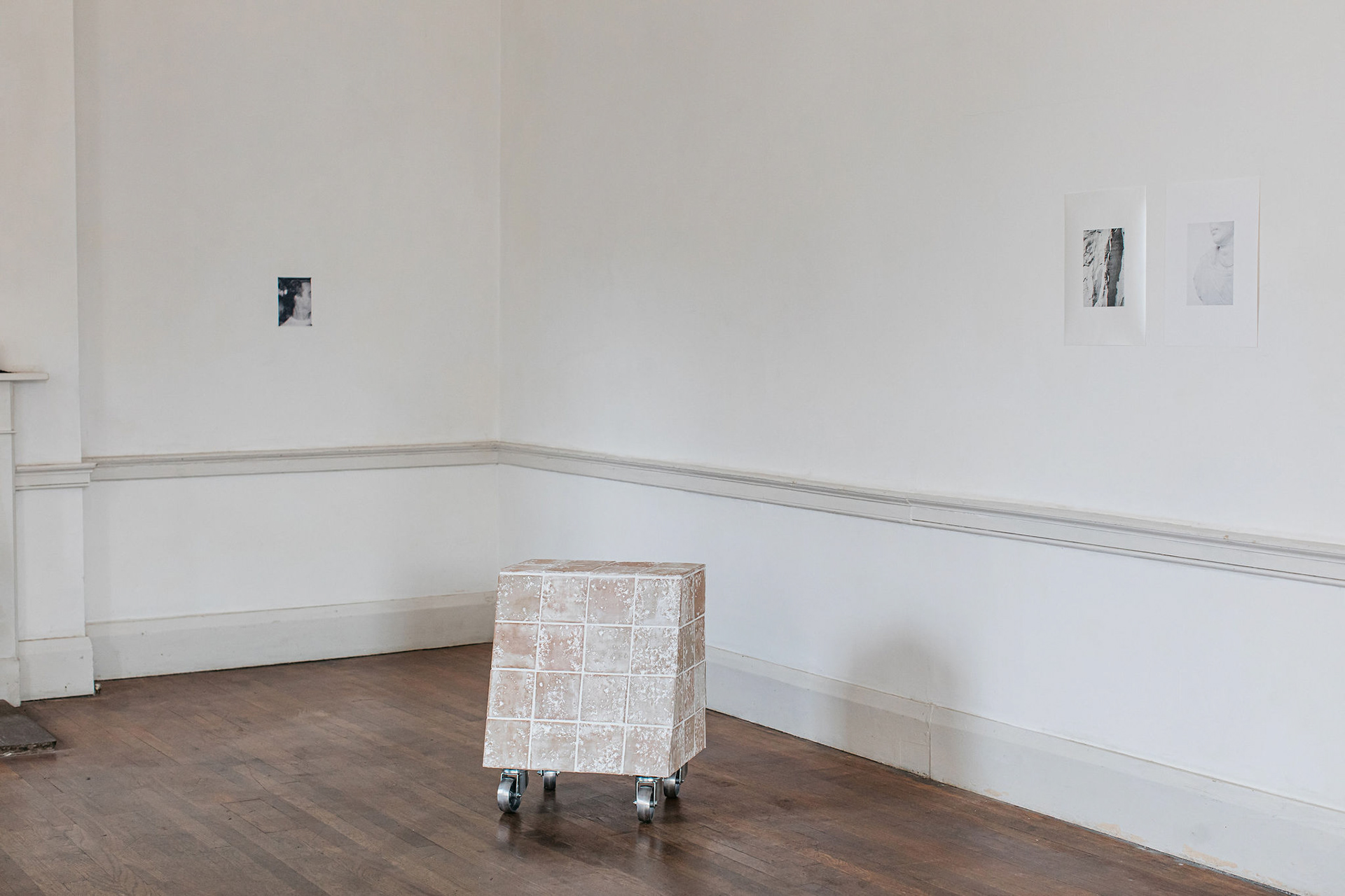 Image Credit: Emma Croman. Installation view from Necrology exhibition (2025)
