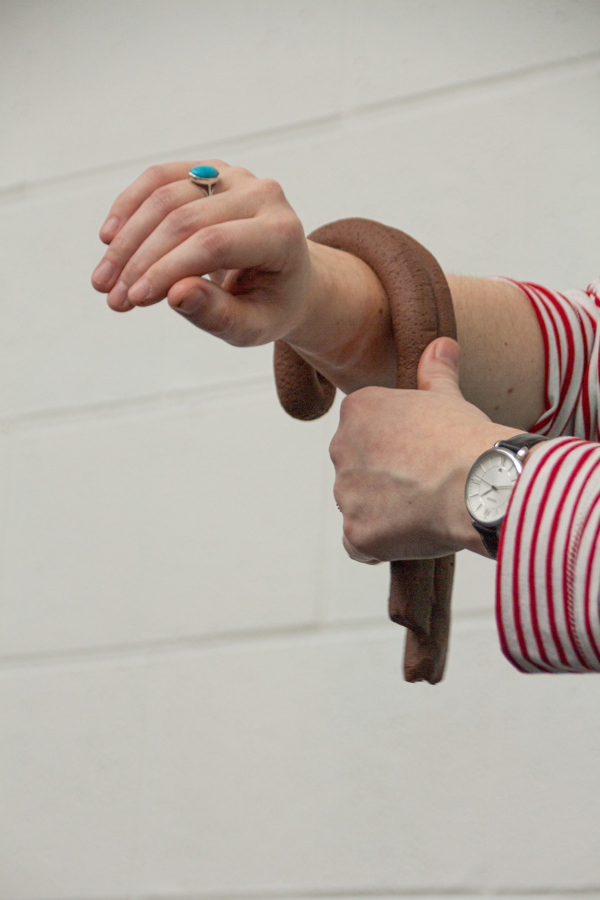 Image Credit: Carla Collinson