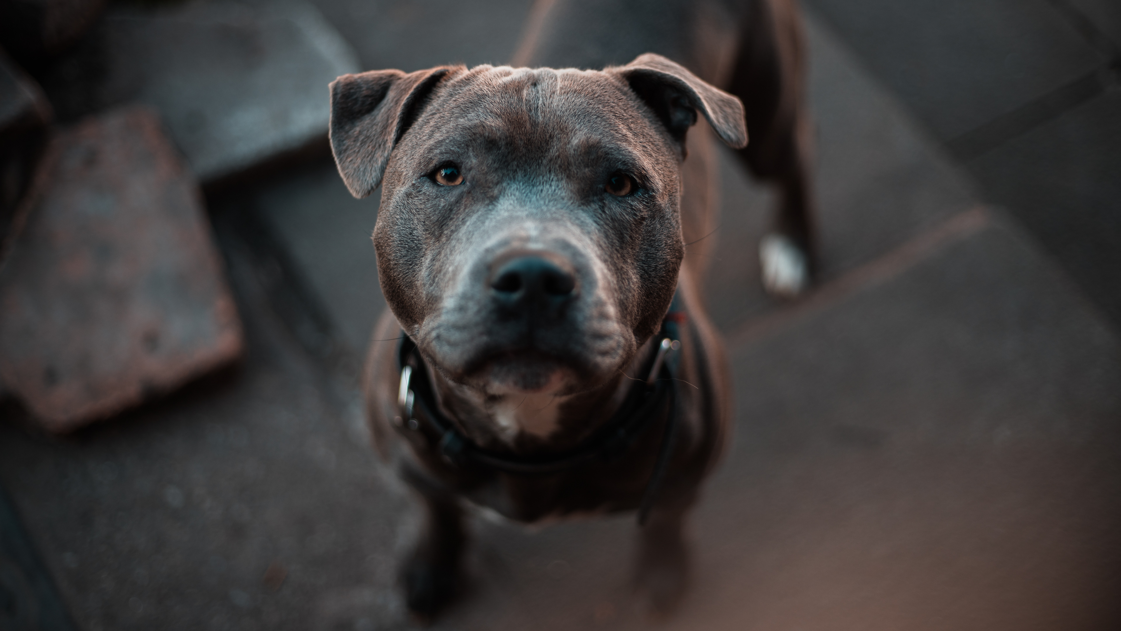 Ares