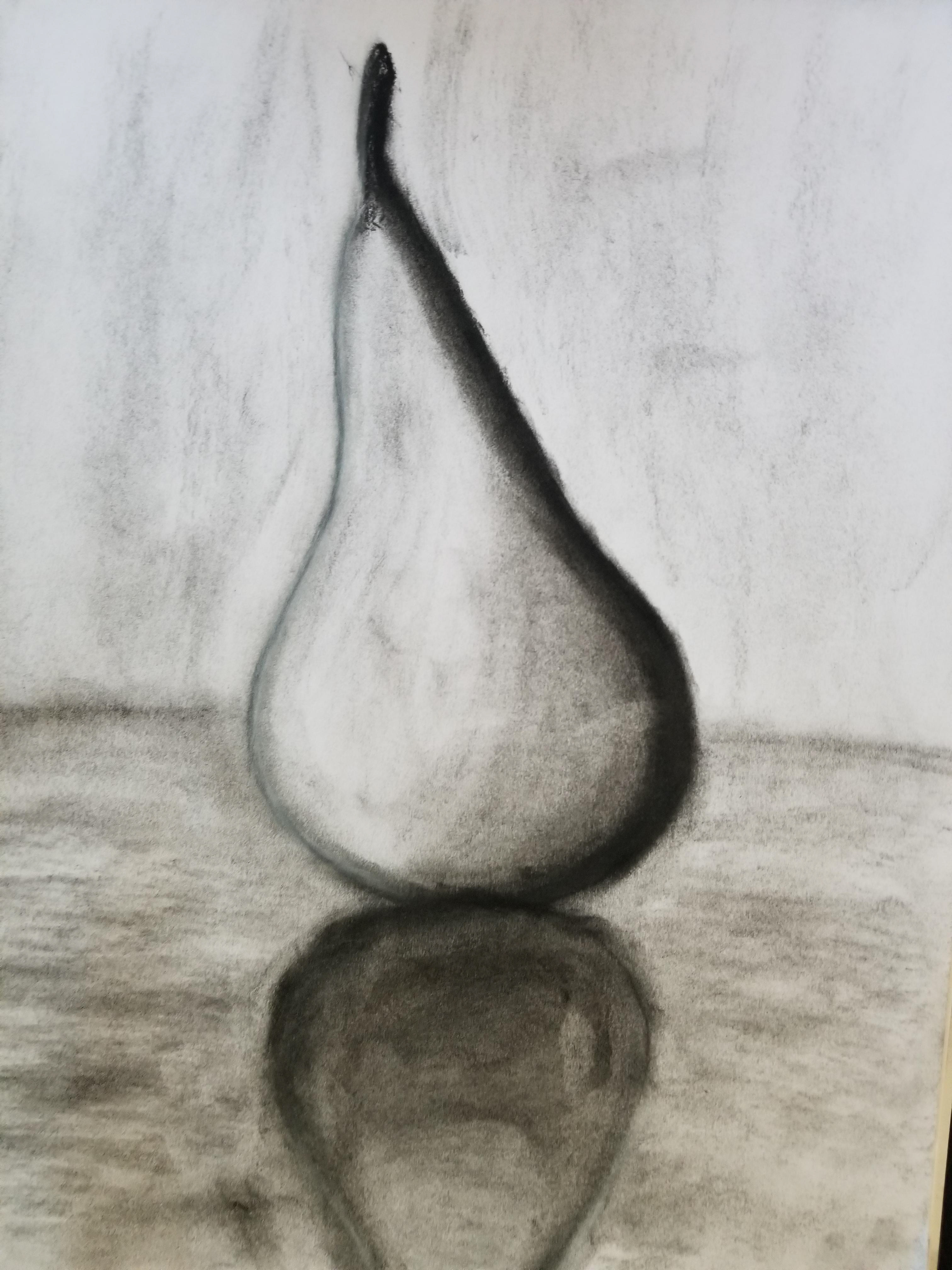 Charcoal sketch of a Pear