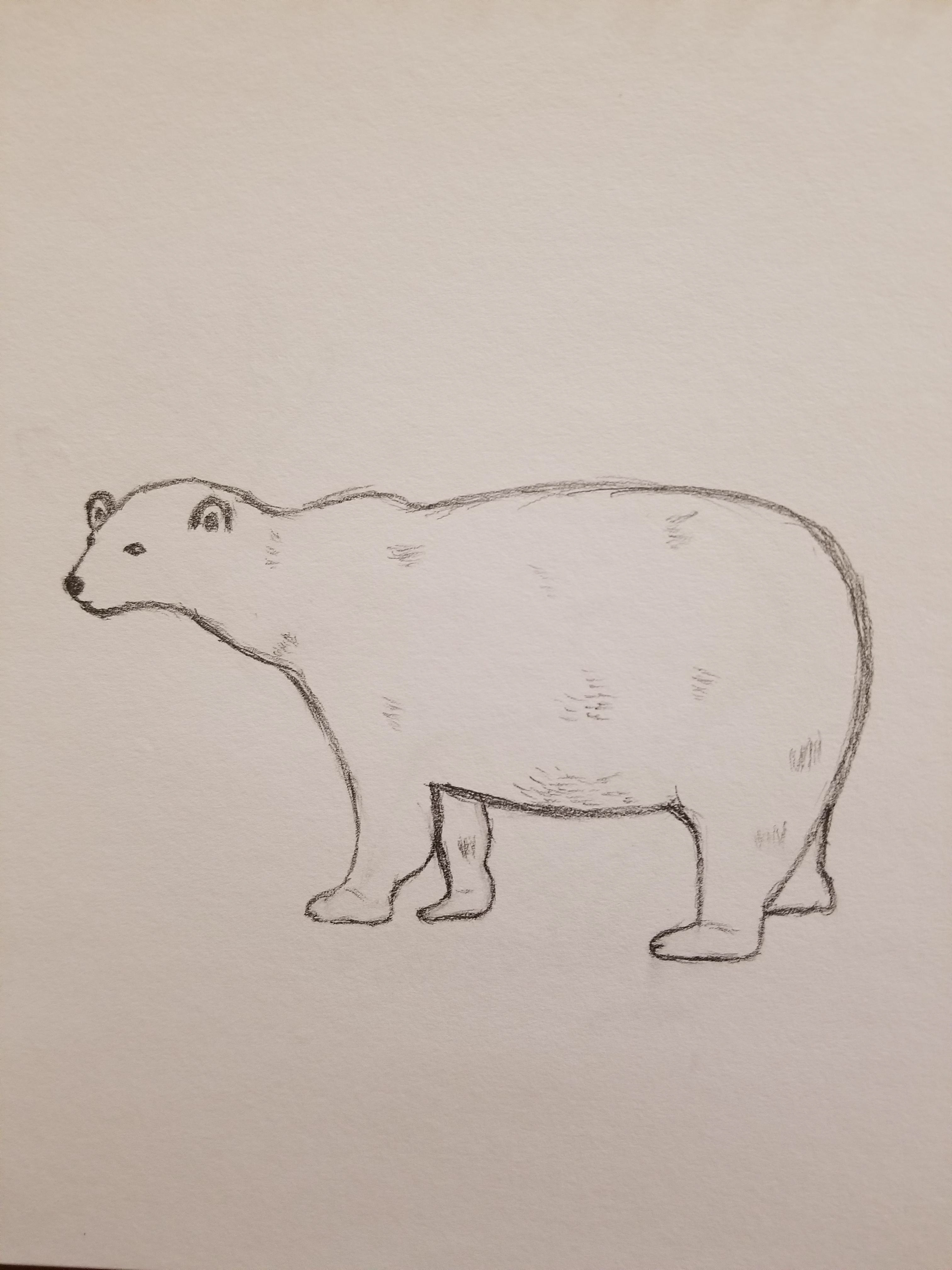 Pencil sketch of a Polar Bear